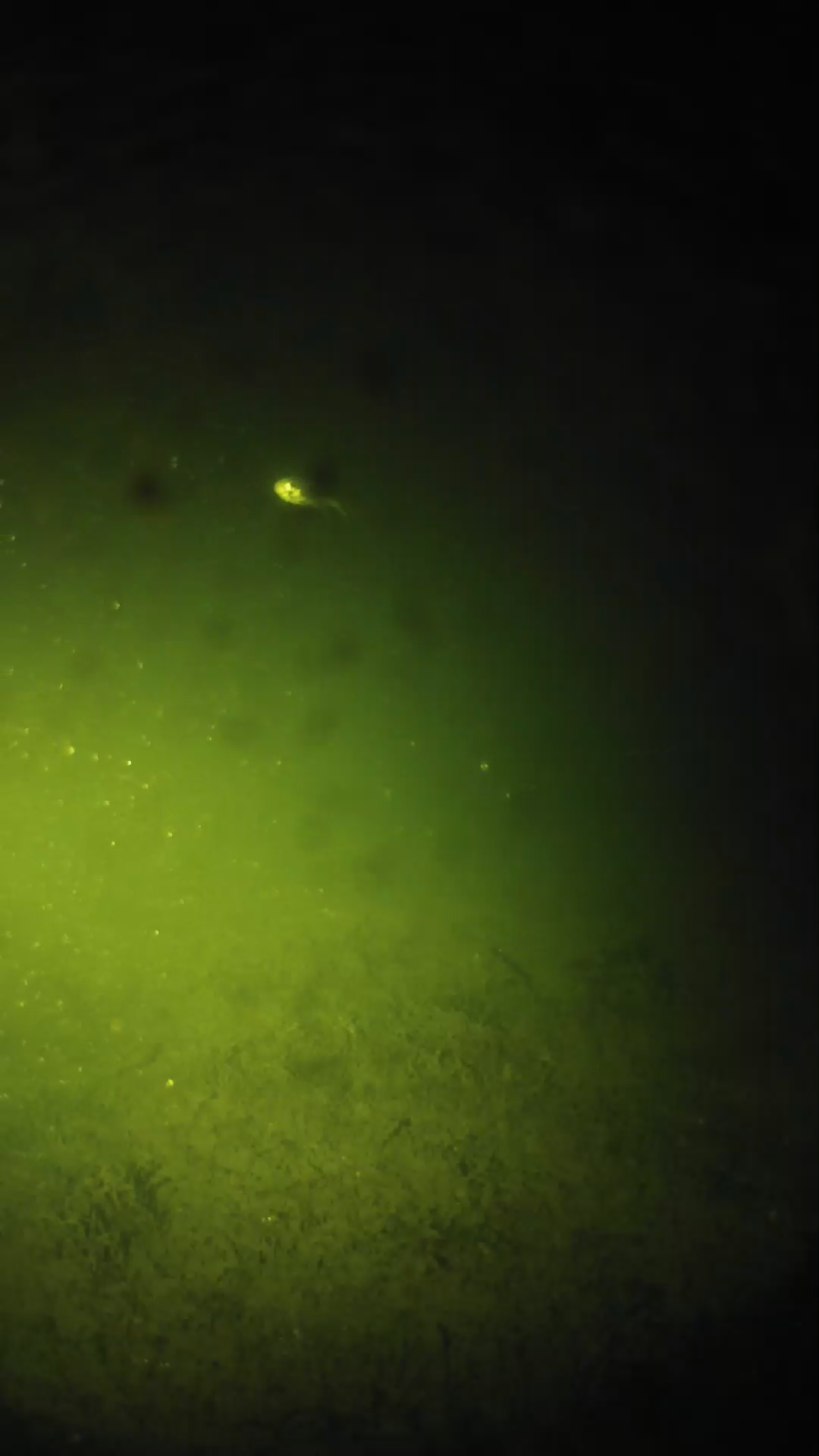 lander_ipcam_20240626000549.png