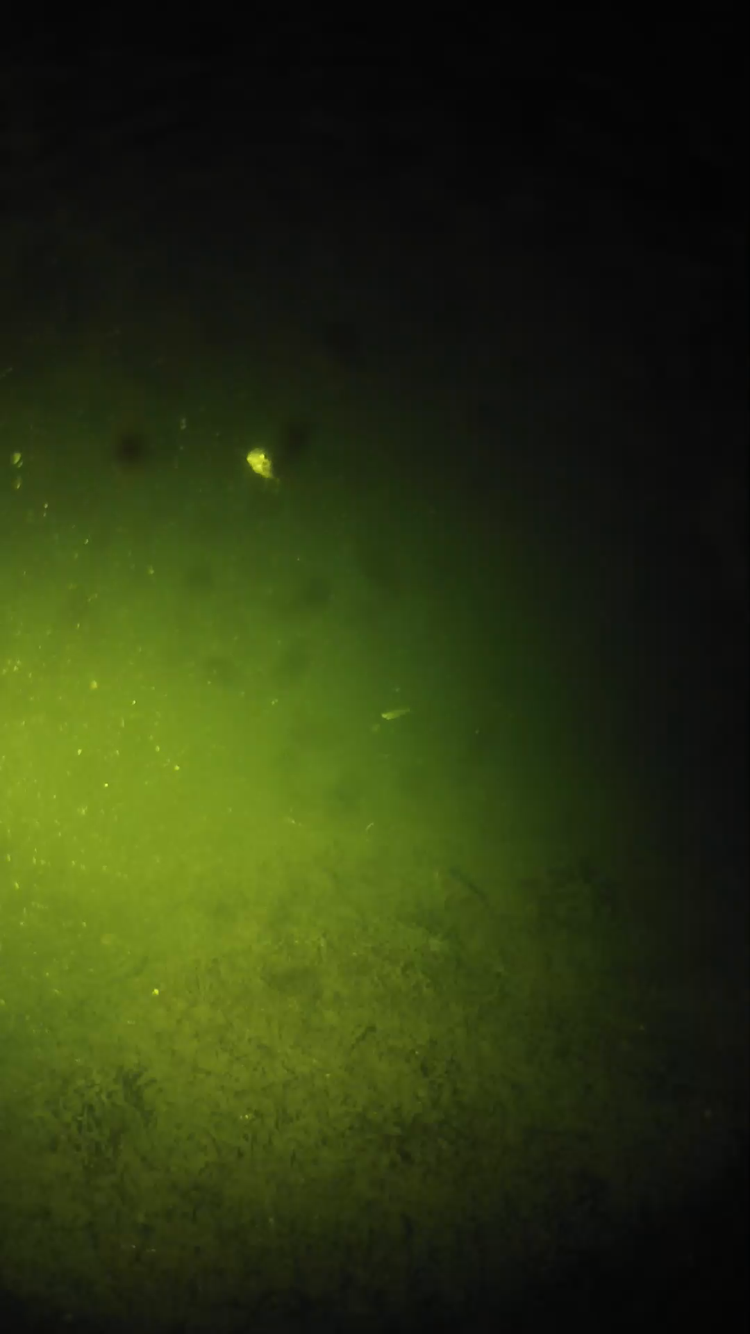 lander_ipcam_20240626000551.png