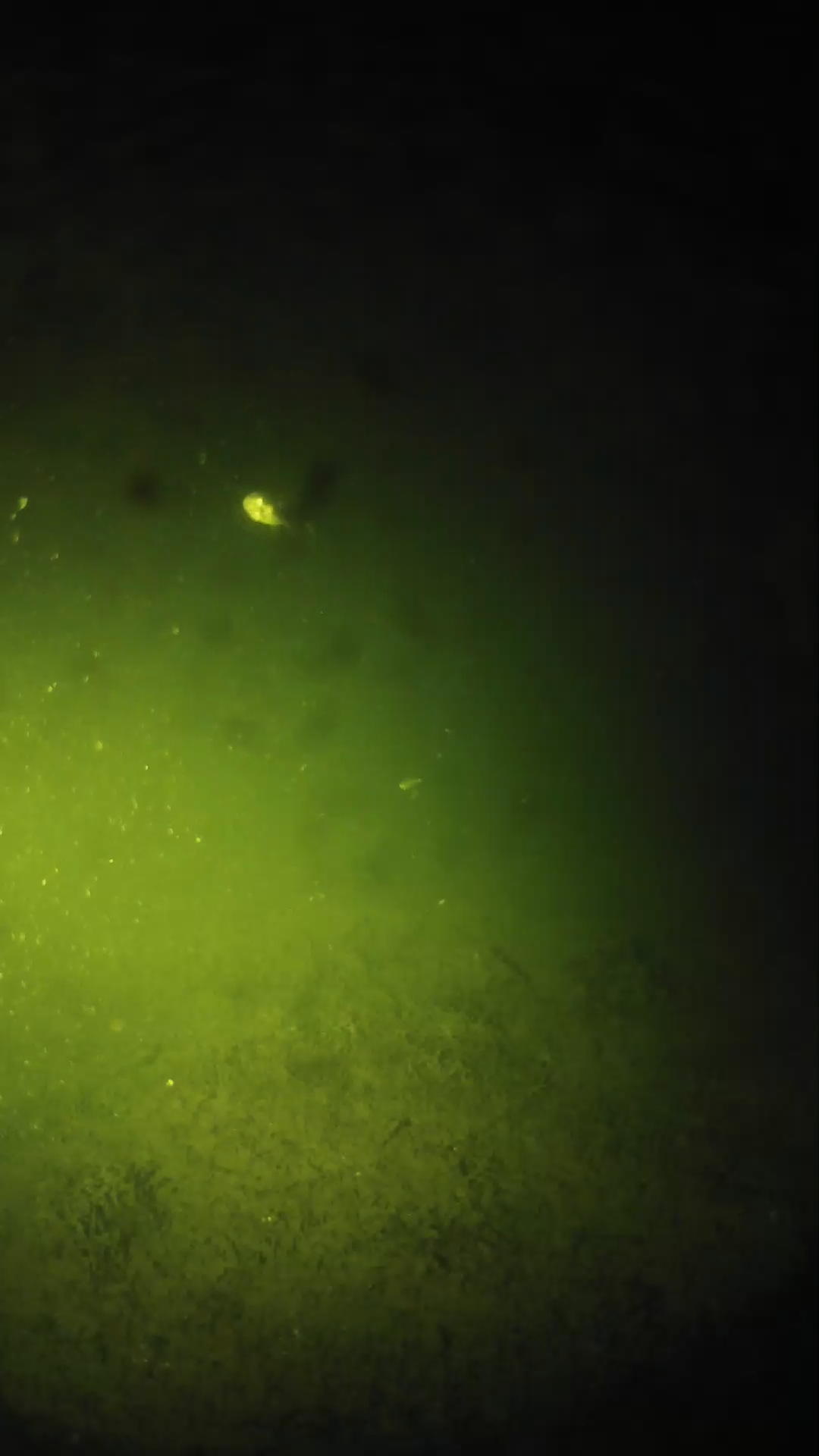 lander_ipcam_20240626000552.png