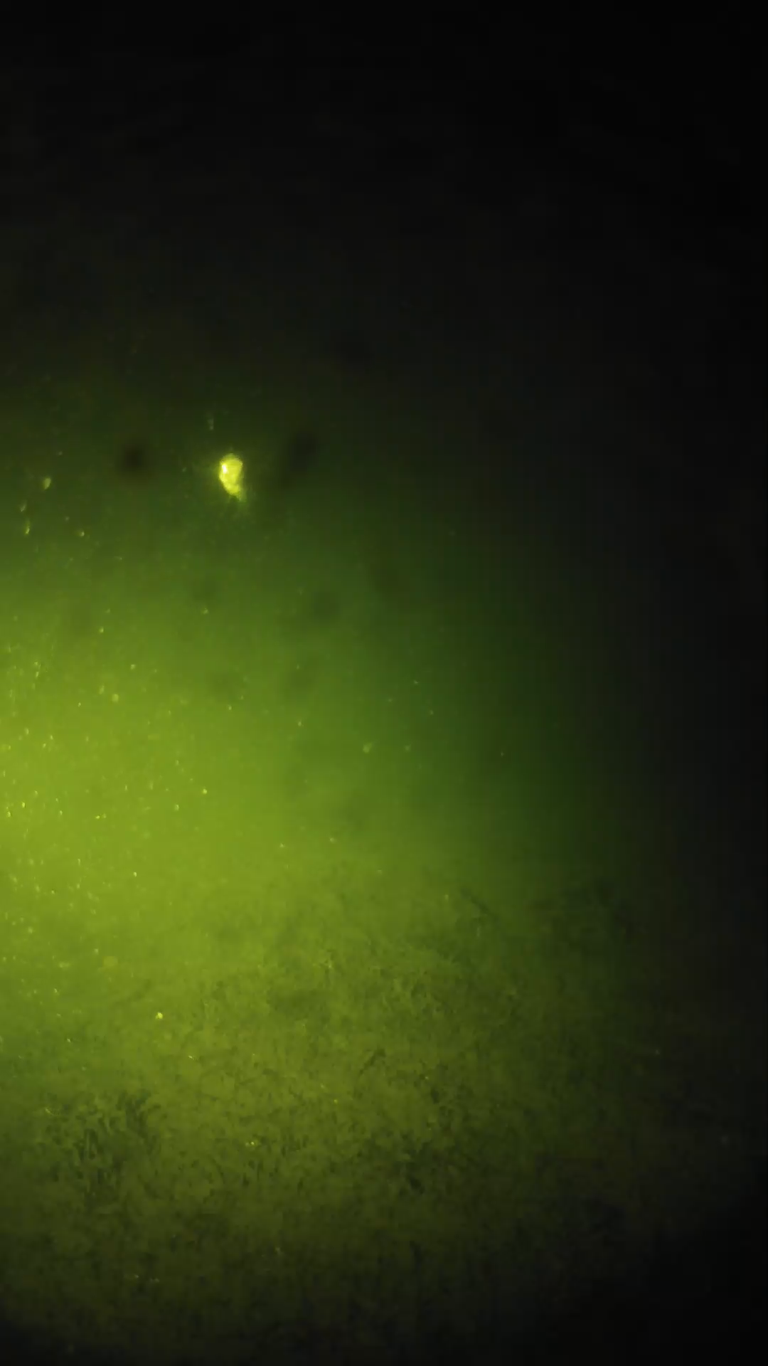 lander_ipcam_20240626000554.png