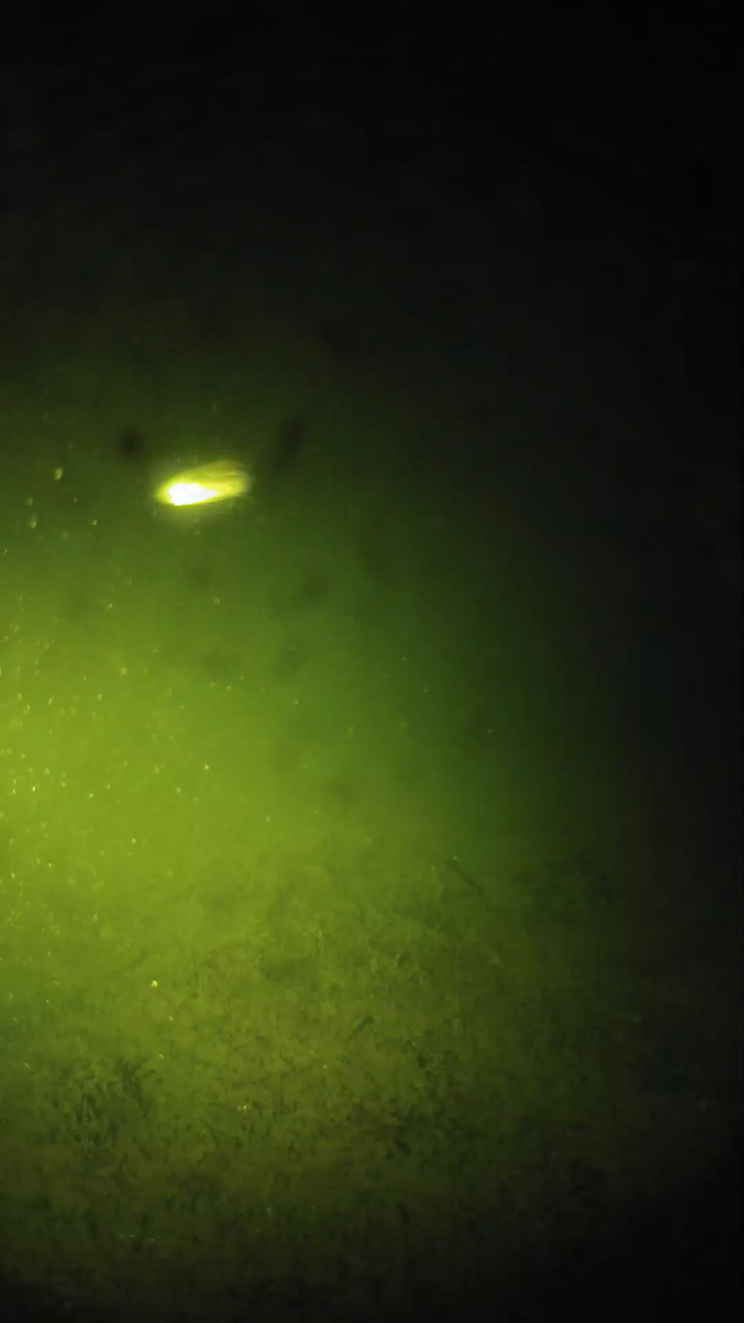 lander_ipcam_20240626000555.png