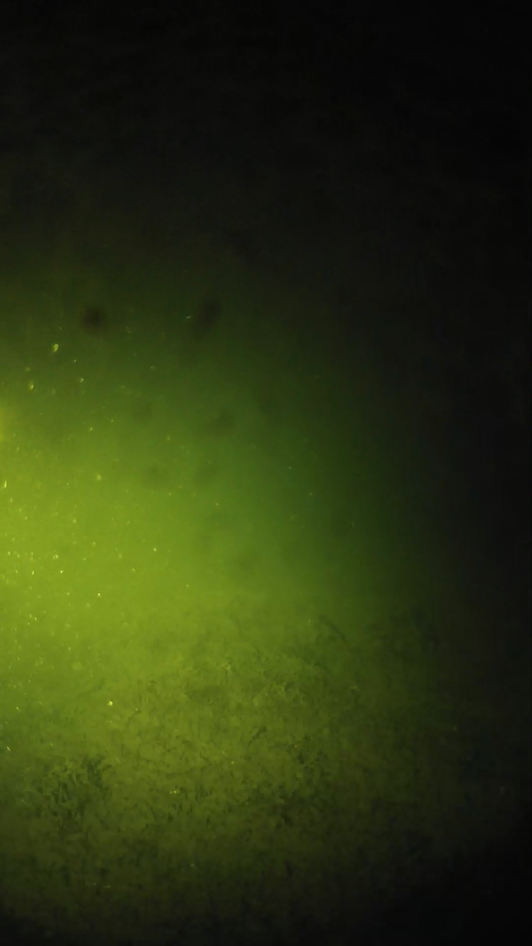 lander_ipcam_20240626000556.png