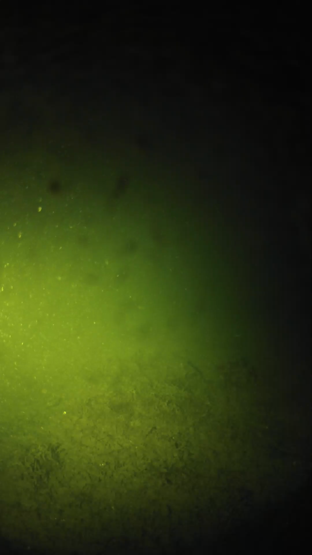 lander_ipcam_20240626000558.png