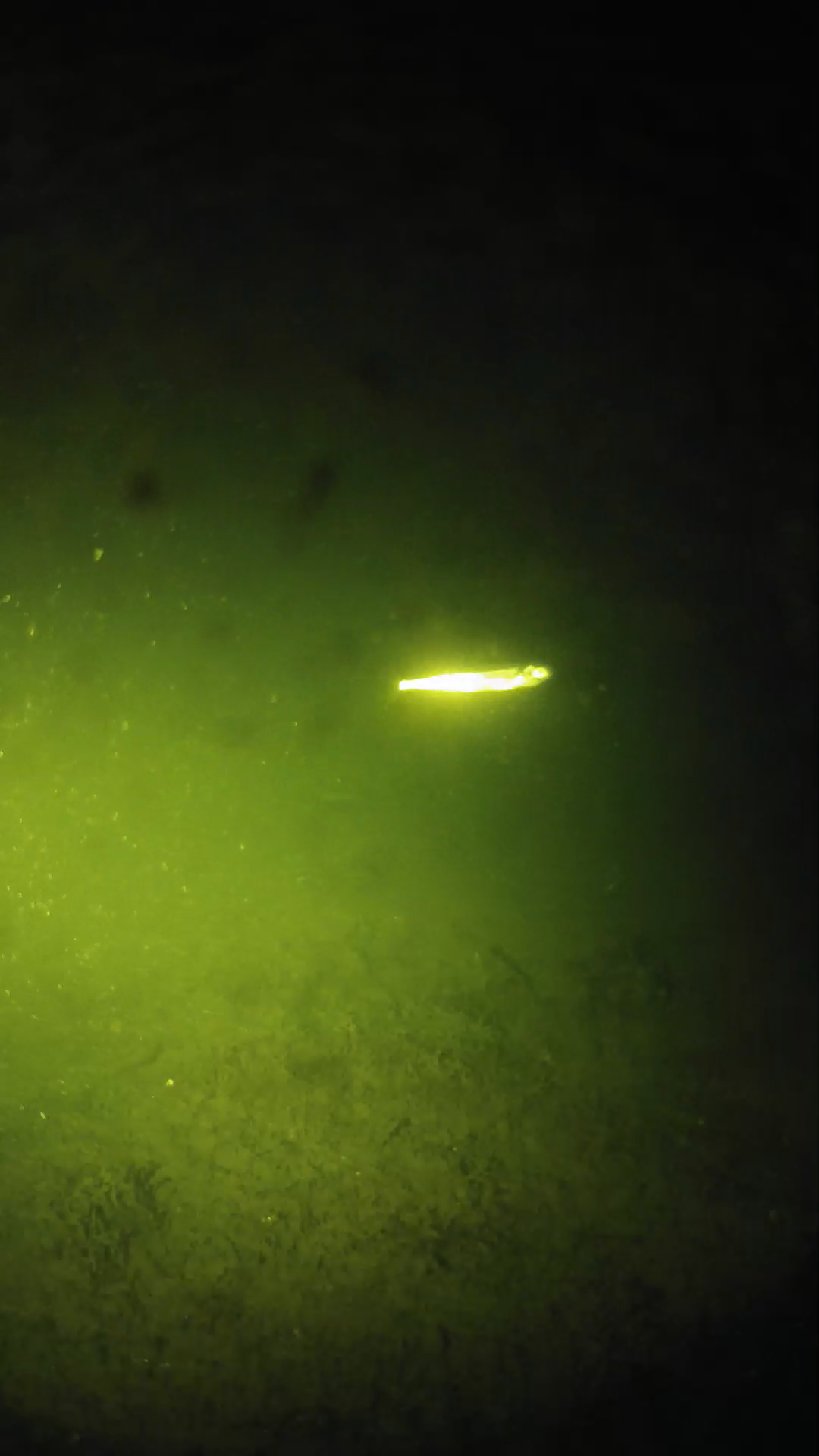 lander_ipcam_20240626000600.png
