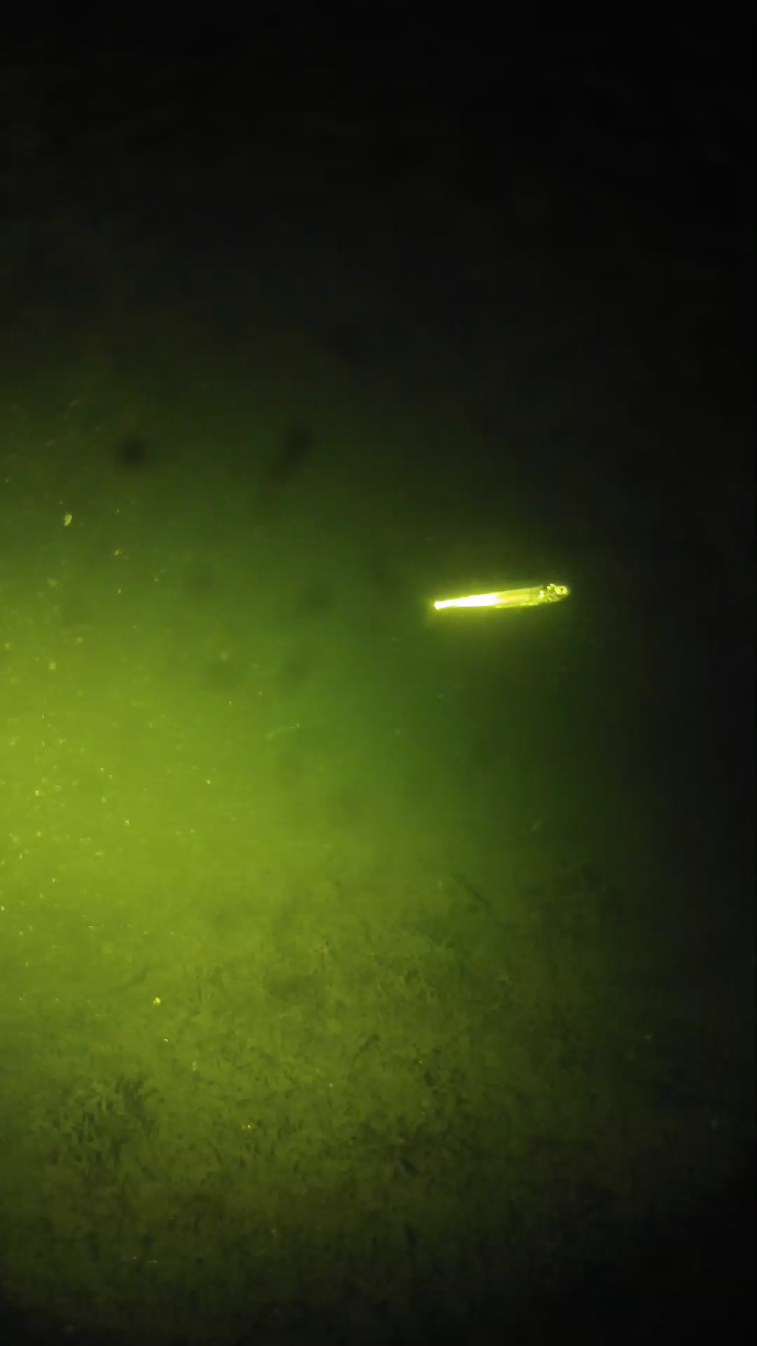 lander_ipcam_20240626000601.png