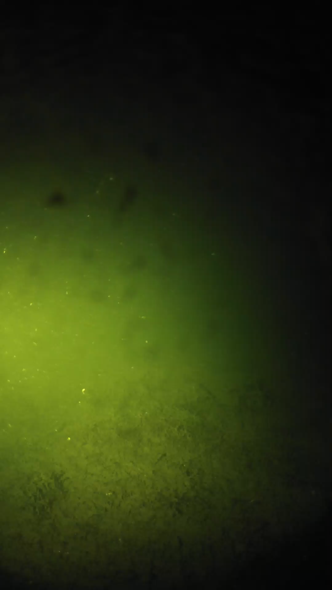 lander_ipcam_20240626003549.png