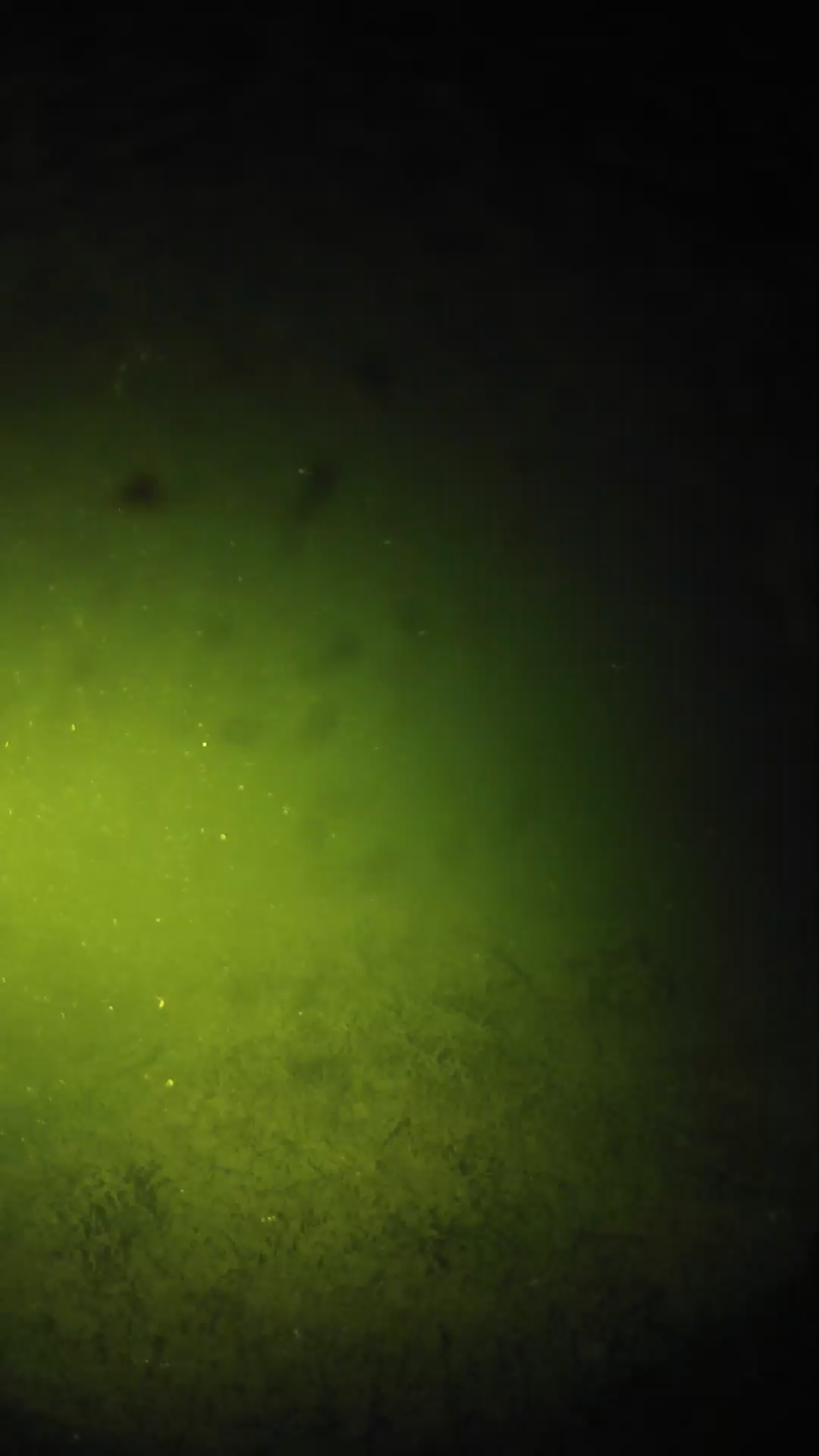 lander_ipcam_20240626003551.png