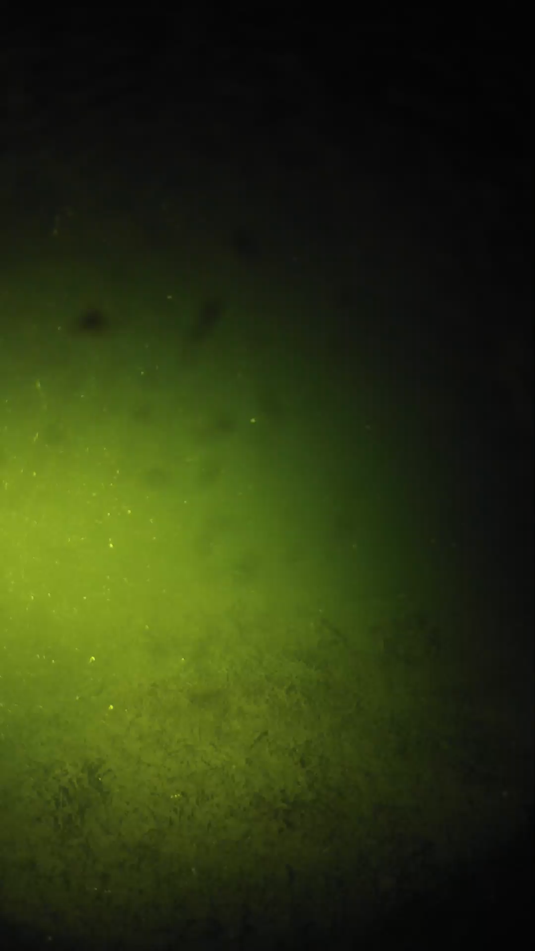 lander_ipcam_20240626003552.png