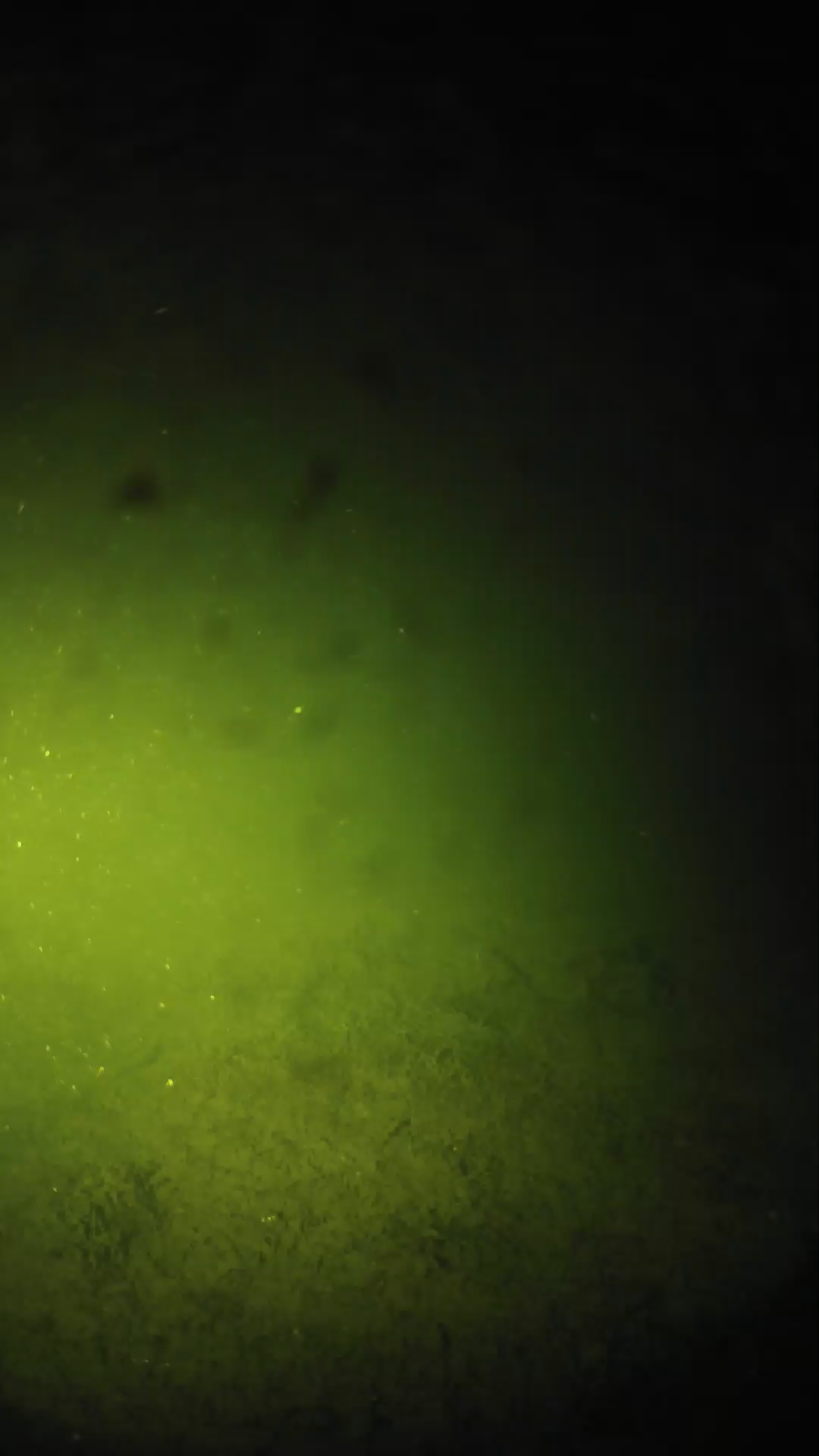 lander_ipcam_20240626003556.png
