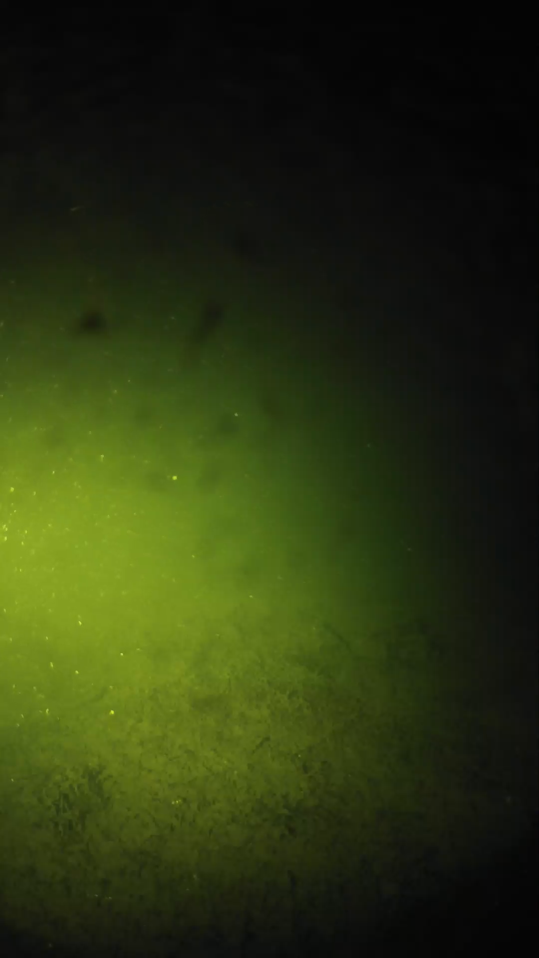 lander_ipcam_20240626003557.png