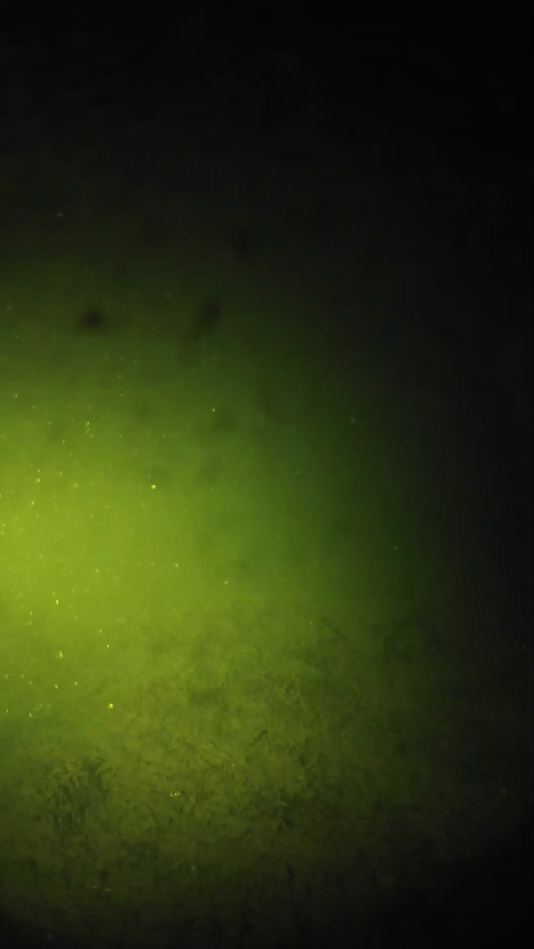 lander_ipcam_20240626003559.png