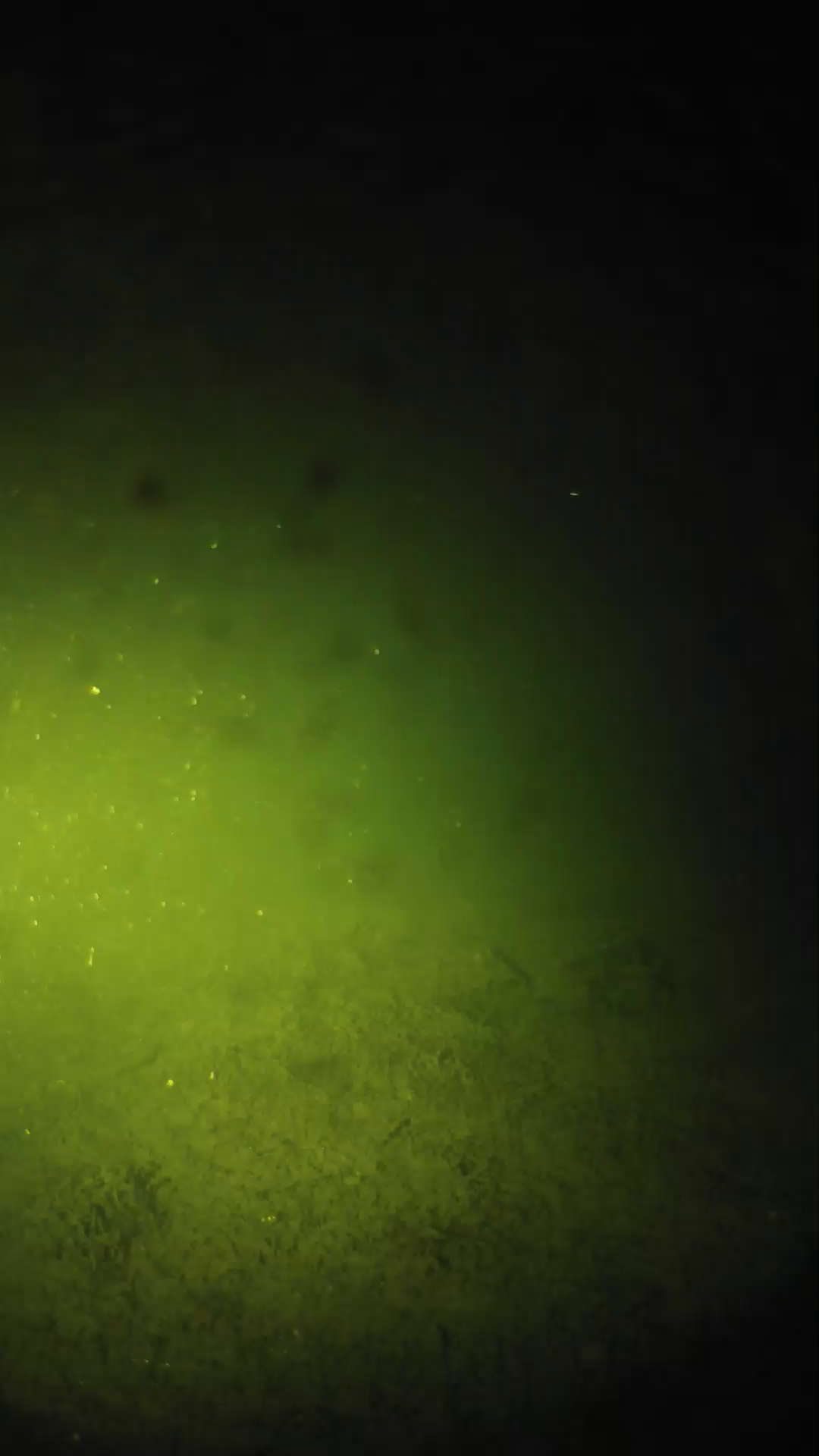 lander_ipcam_20240626010542.png
