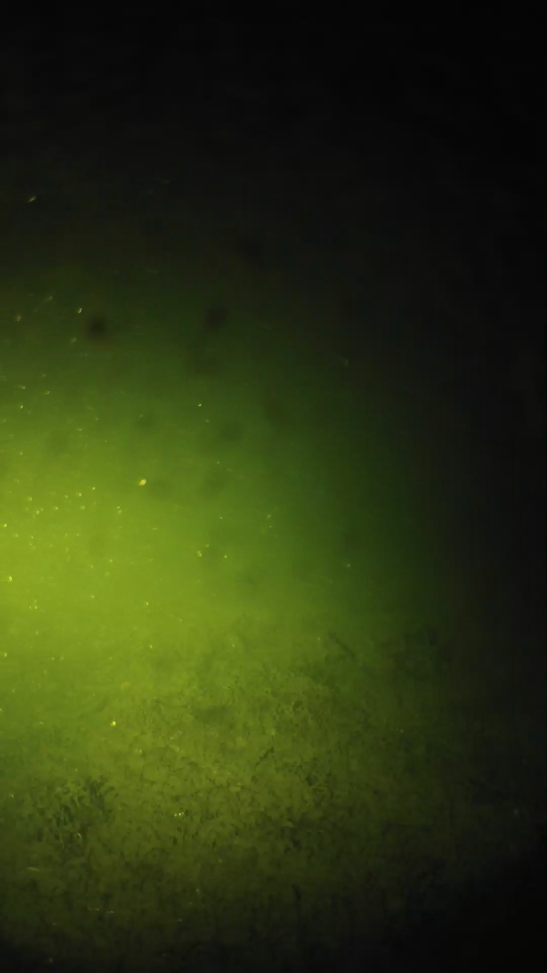lander_ipcam_20240626010557.png