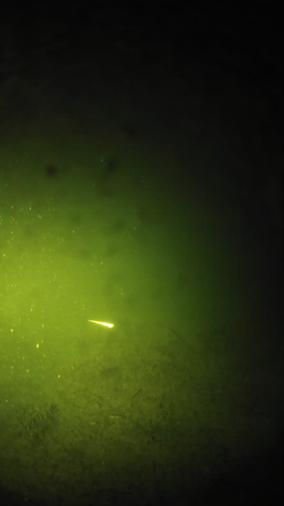lander_ipcam_20240626013539.png