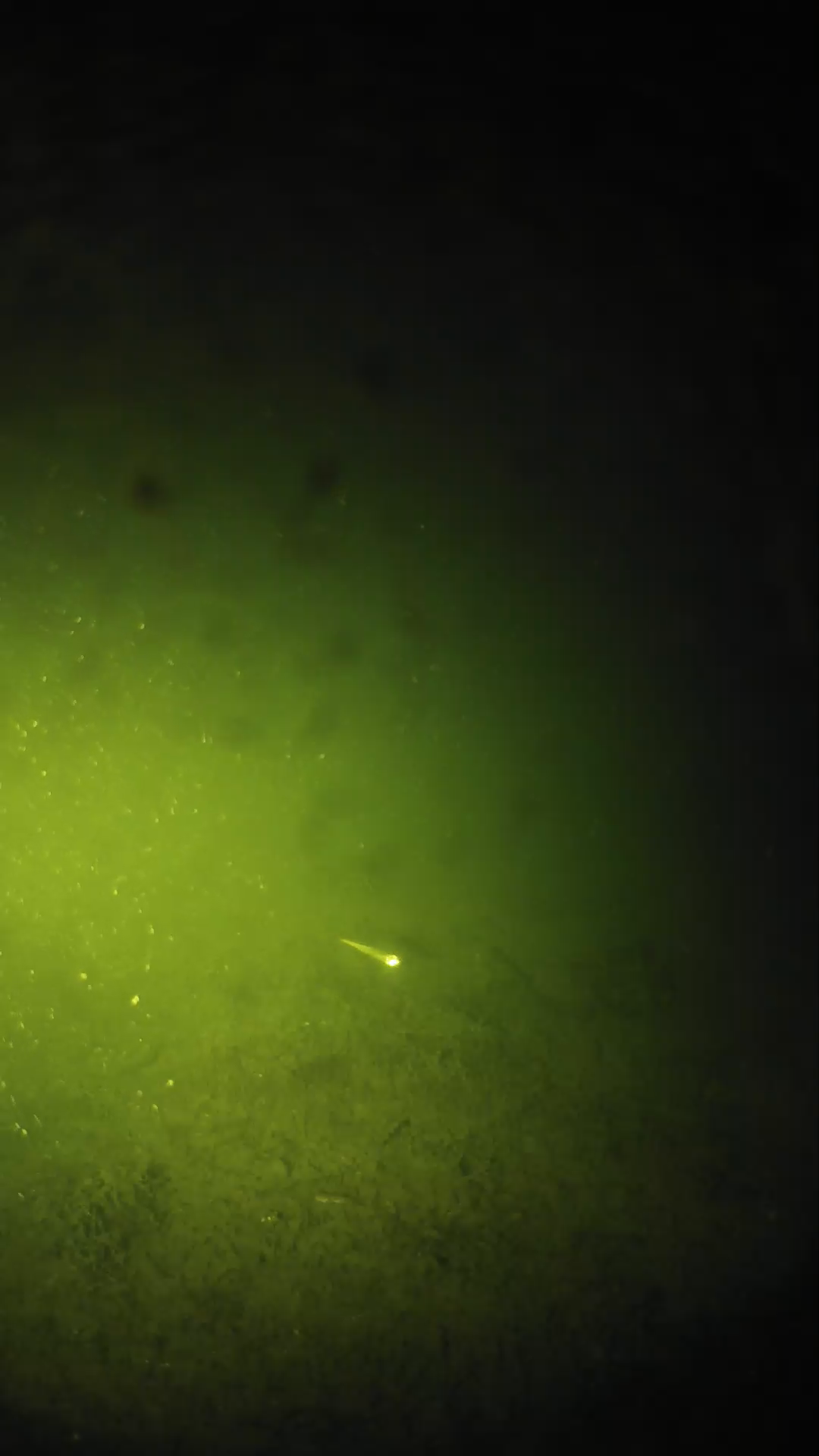 lander_ipcam_20240626013540.png