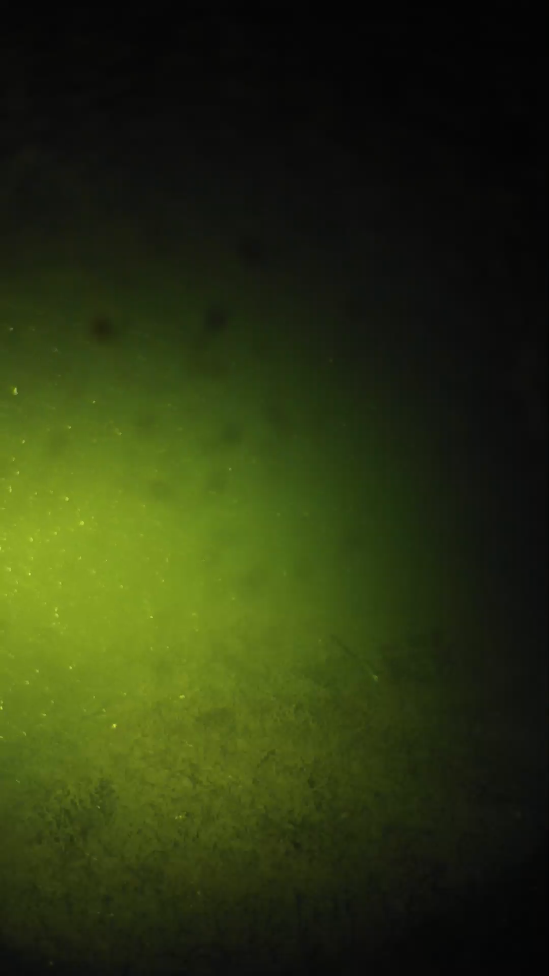 lander_ipcam_20240626013544.png