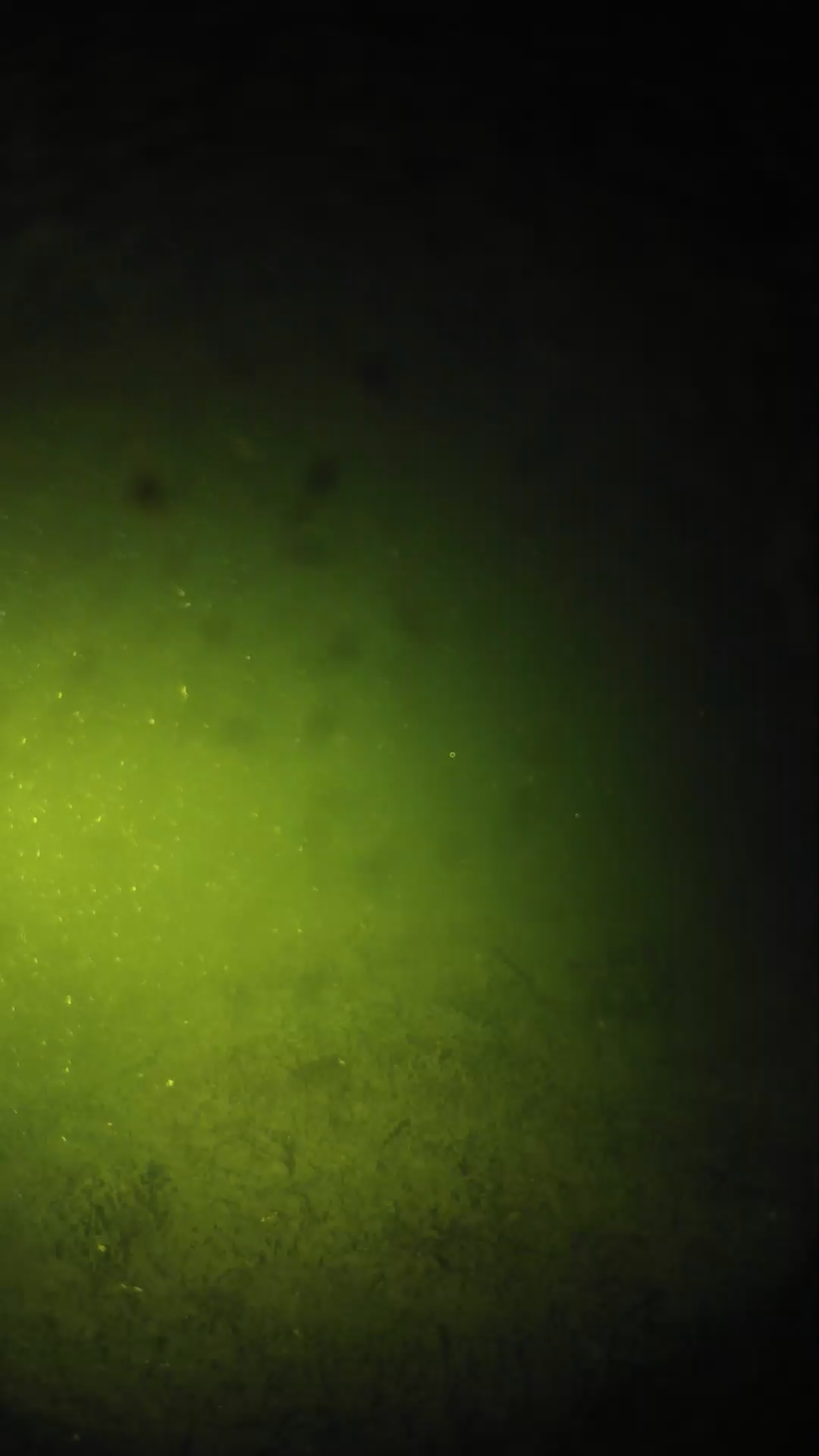 lander_ipcam_20240626013547.png