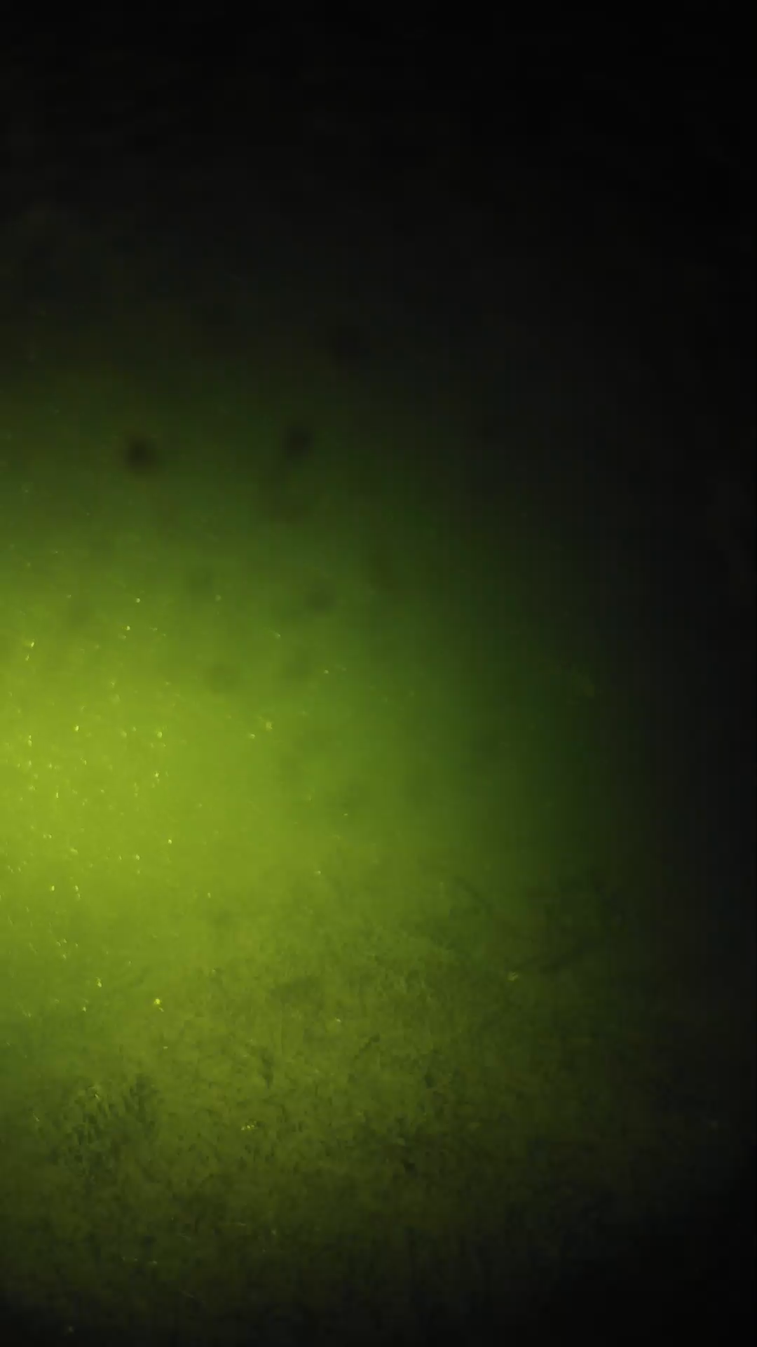 lander_ipcam_20240626013550.png