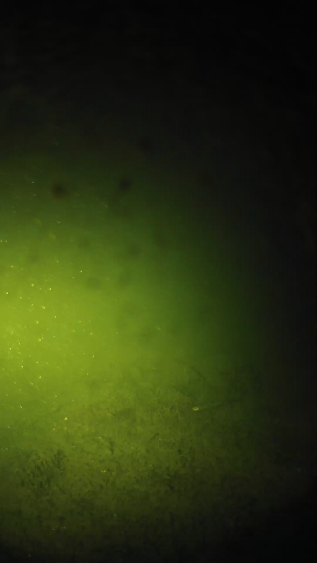 lander_ipcam_20240626013552.png