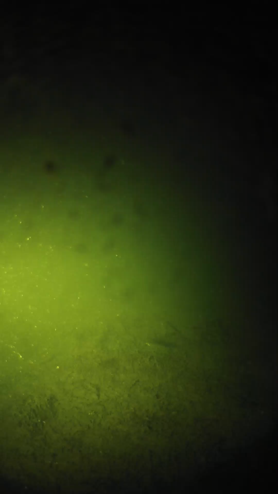 lander_ipcam_20240626013557.png