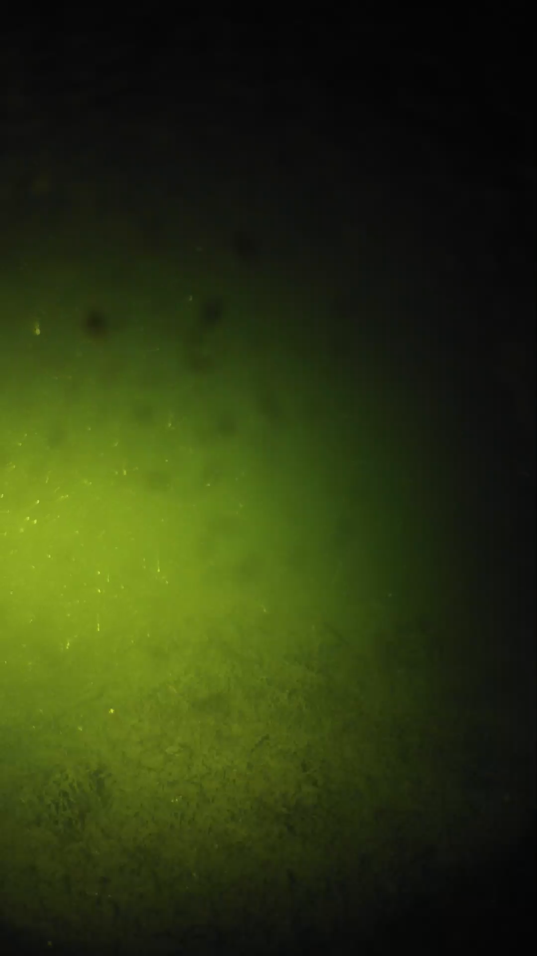 lander_ipcam_20240626020541.png