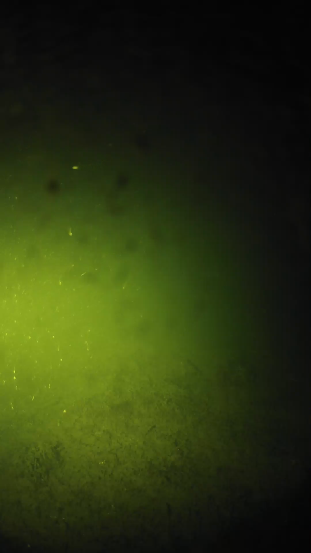 lander_ipcam_20240626020545.png