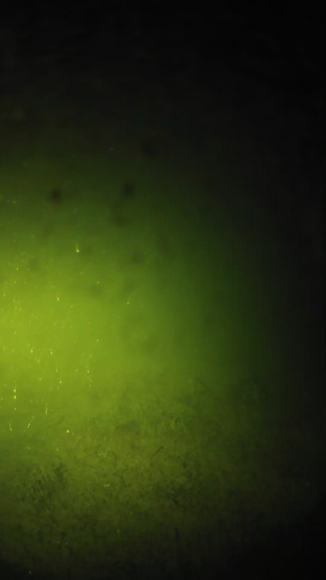 lander_ipcam_20240626020546.png