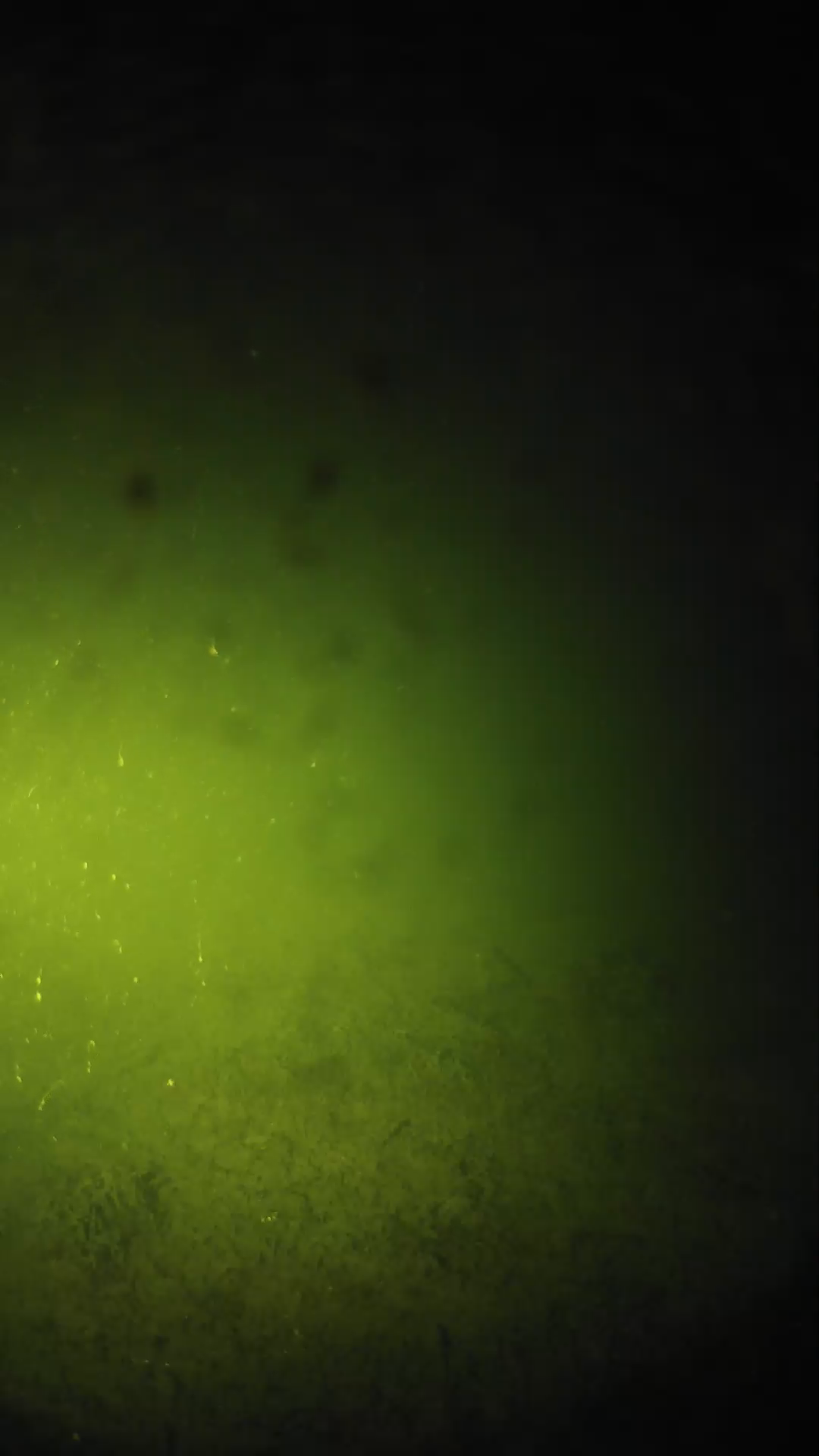 lander_ipcam_20240626020548.png