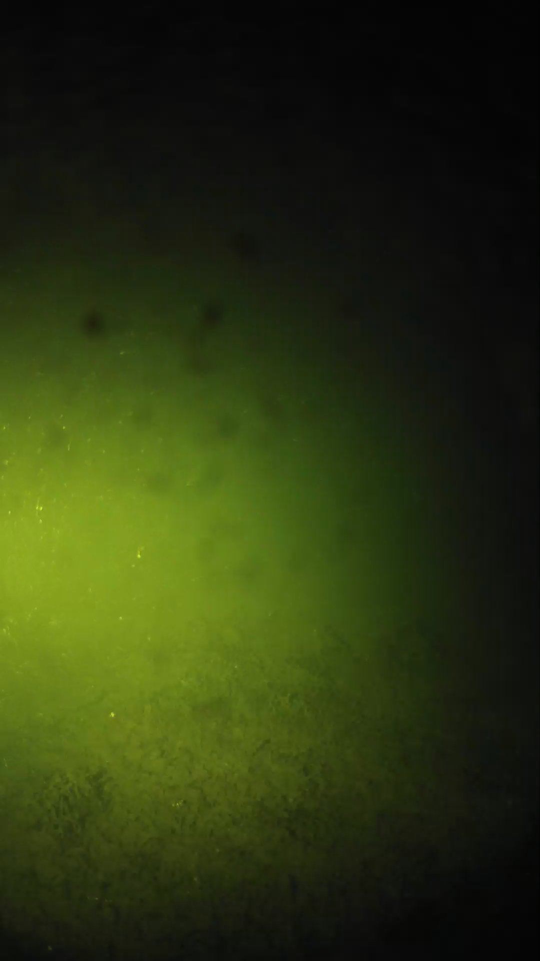 lander_ipcam_20240626020607.png