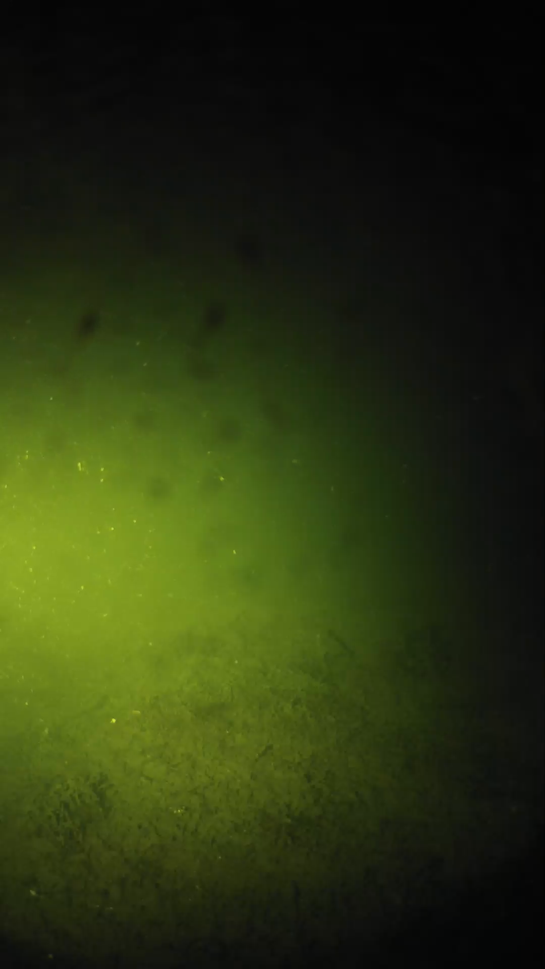 lander_ipcam_20240626023548.png