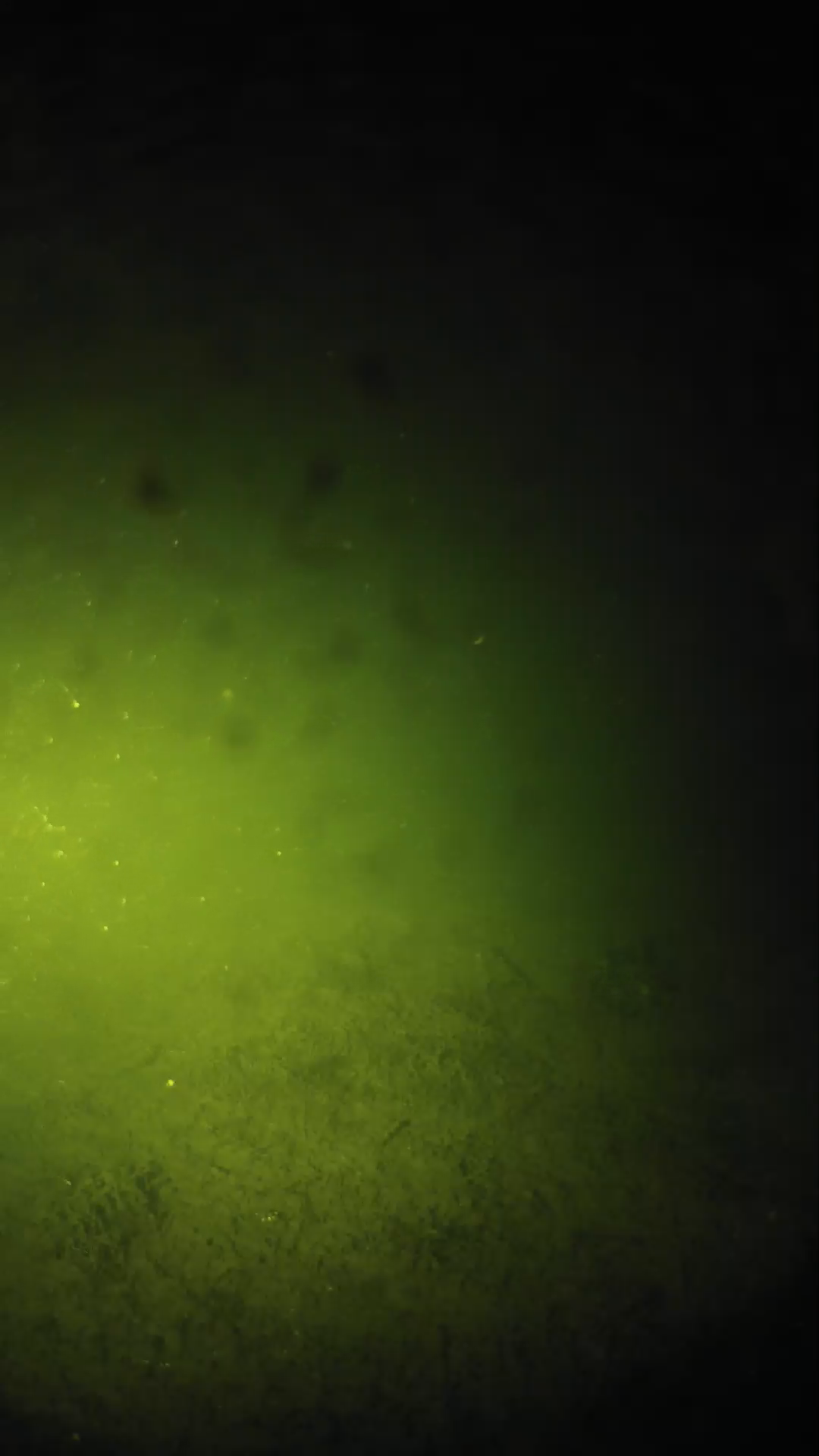 lander_ipcam_20240626023602.png