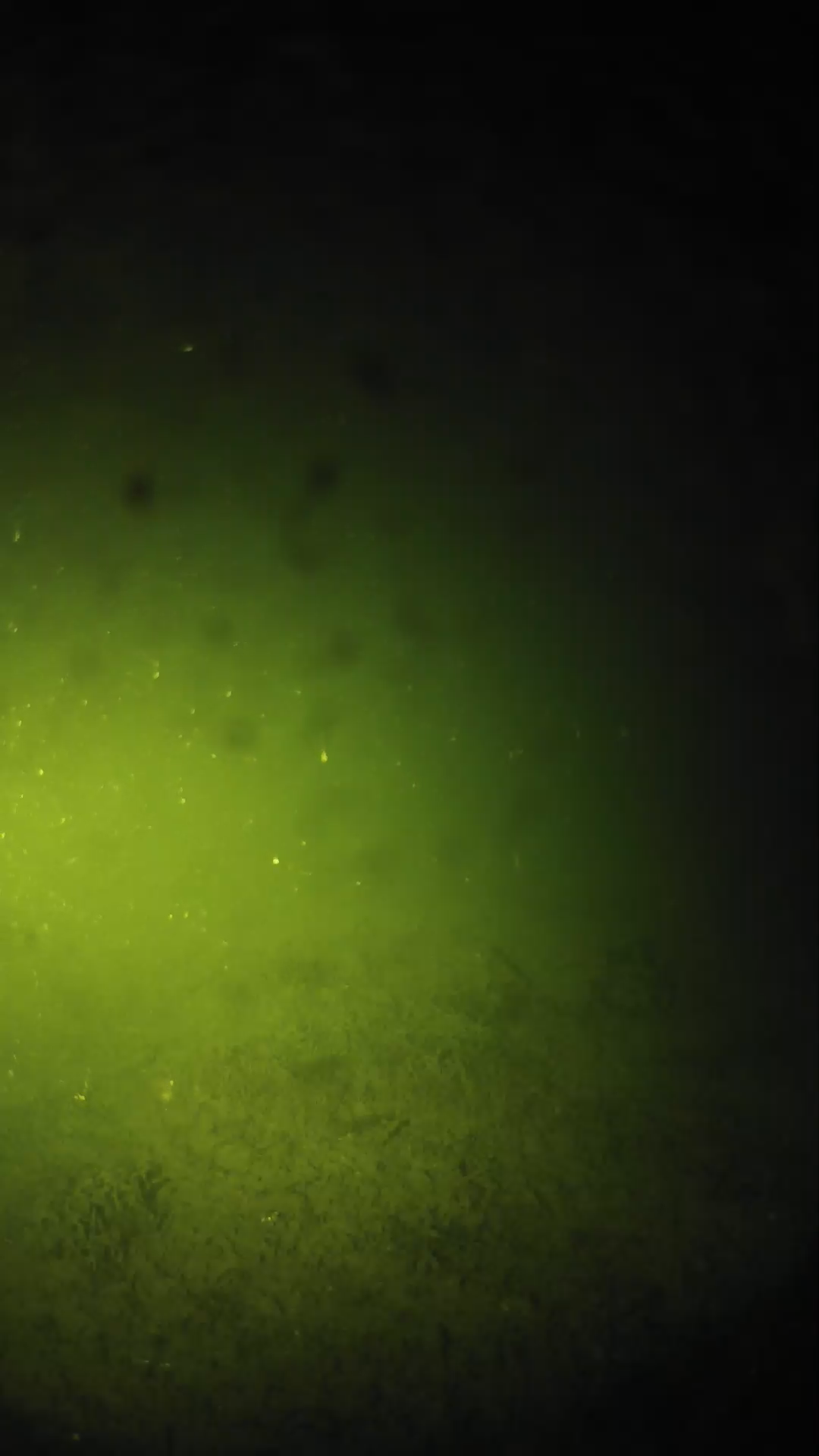 lander_ipcam_20240626030541.png