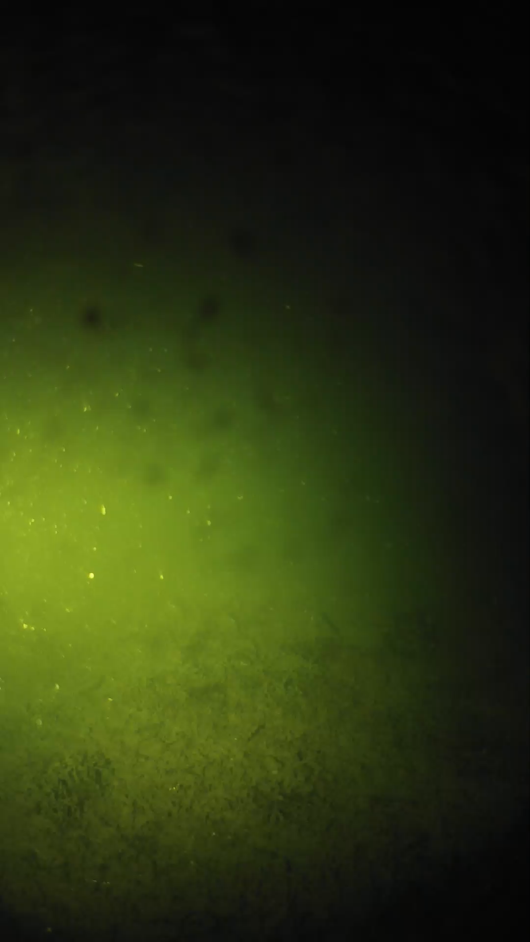 lander_ipcam_20240626033543.png