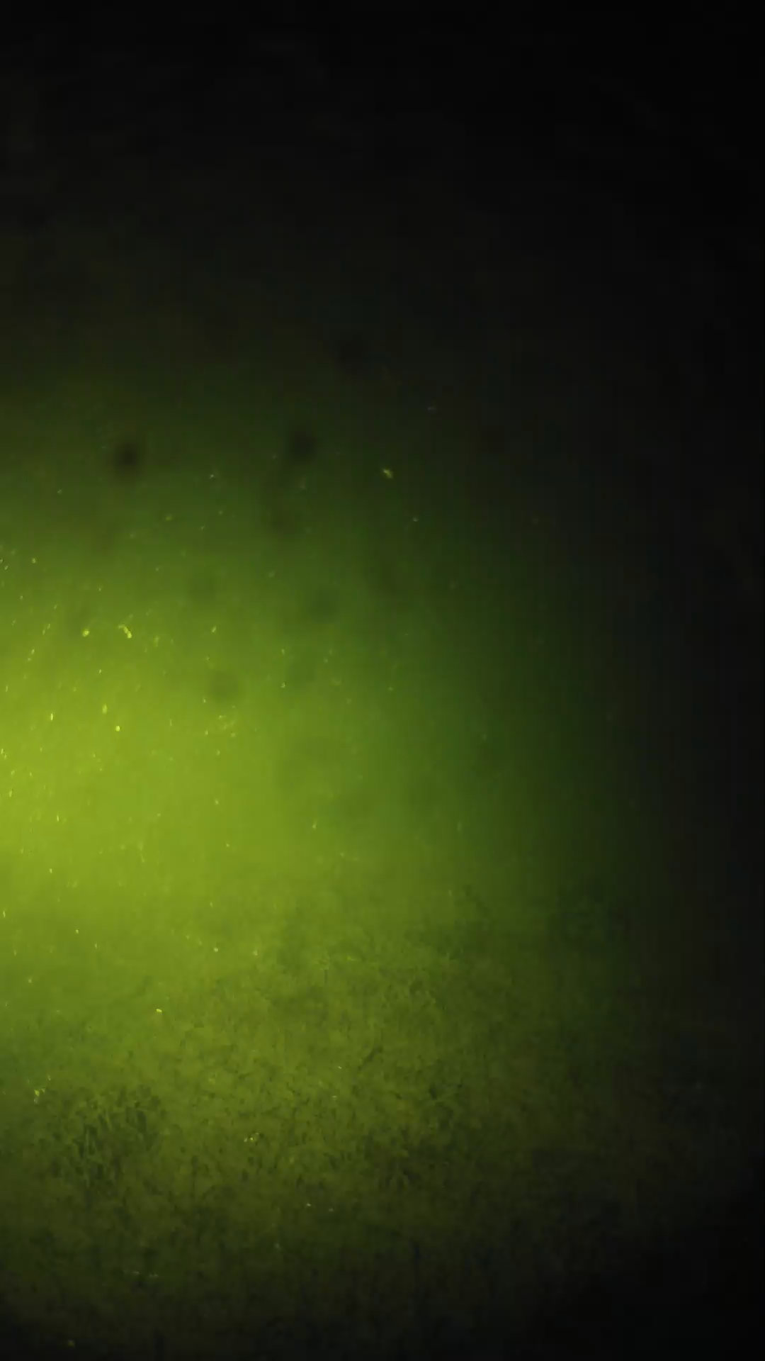 lander_ipcam_20240626033549.png