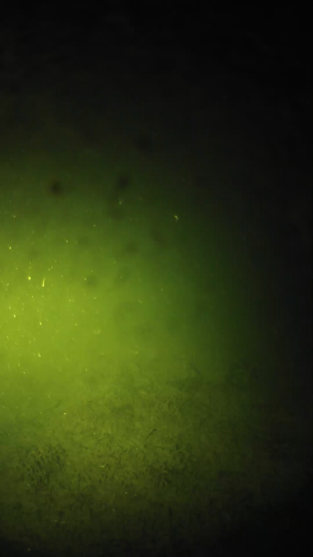lander_ipcam_20240626033551.png