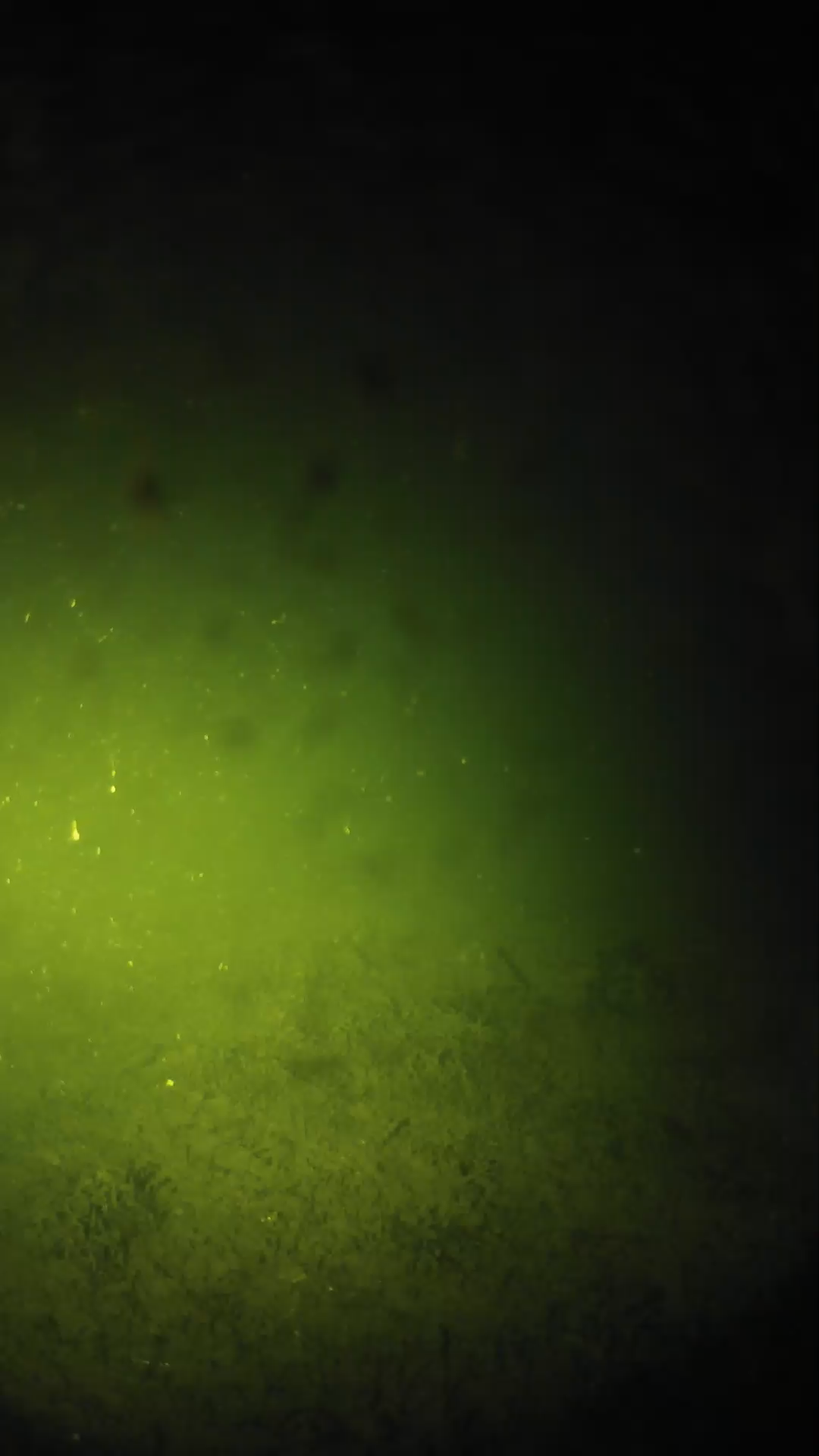lander_ipcam_20240626040539.png