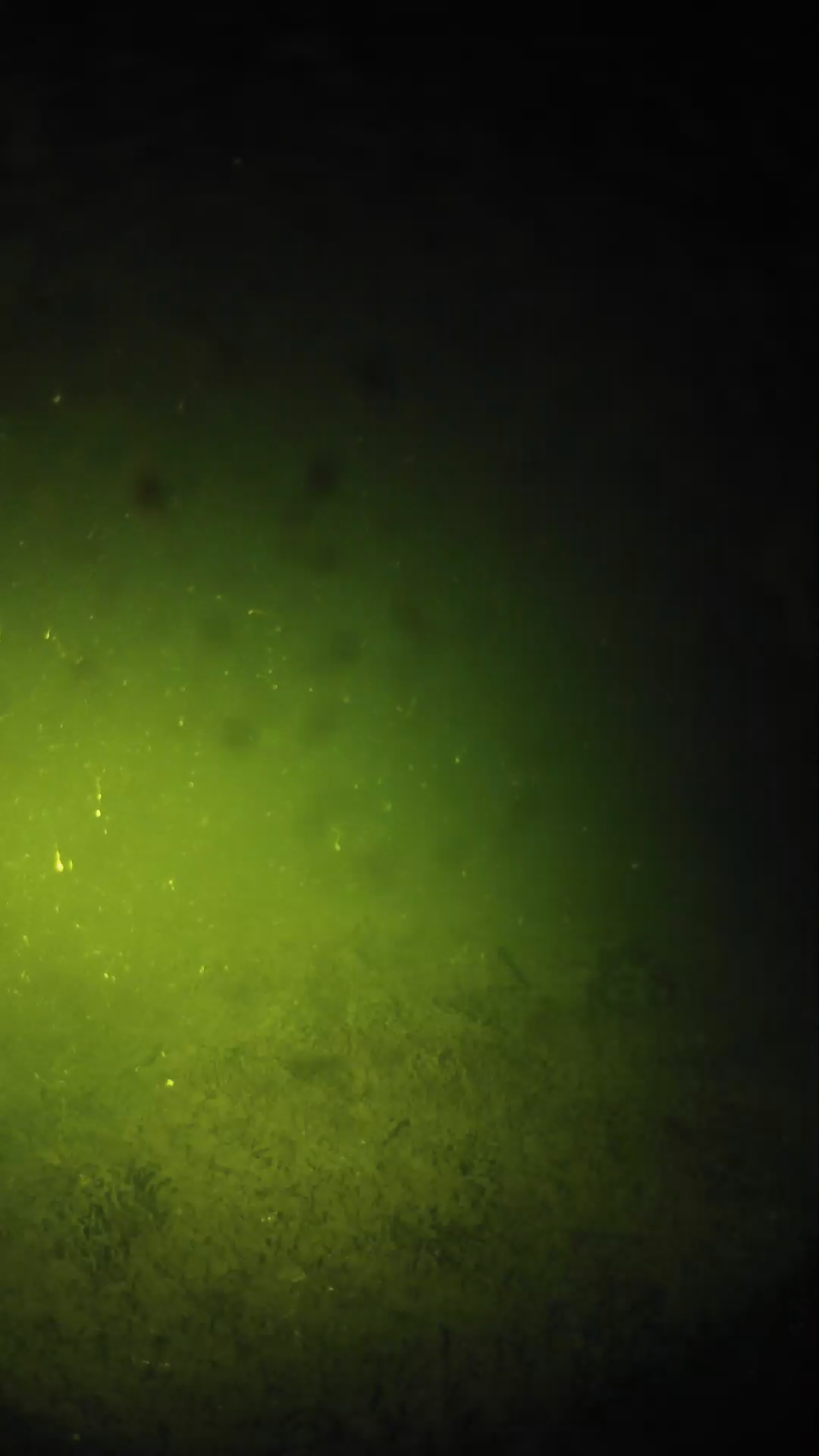 lander_ipcam_20240626040540.png