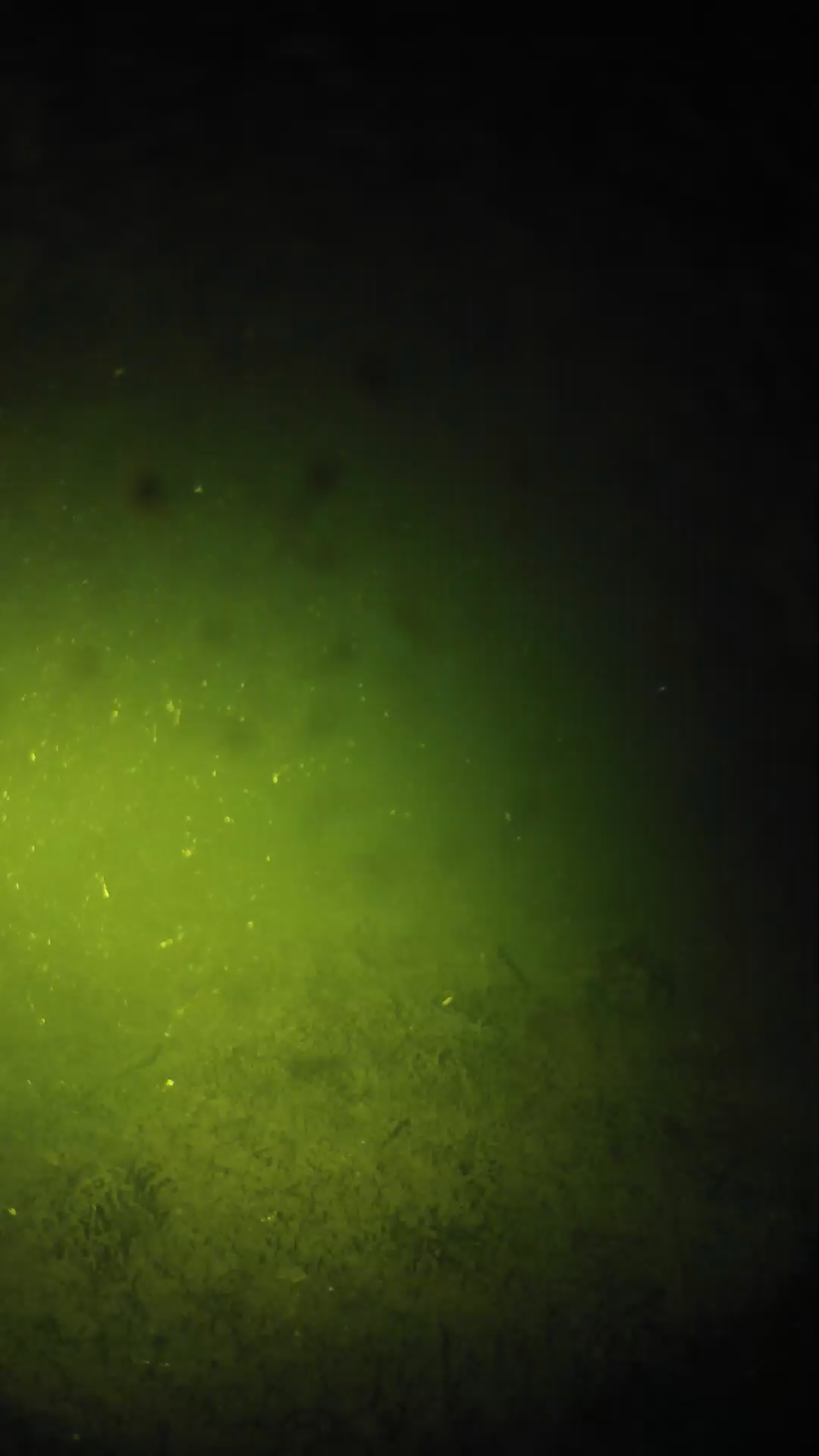 lander_ipcam_20240626040548.png