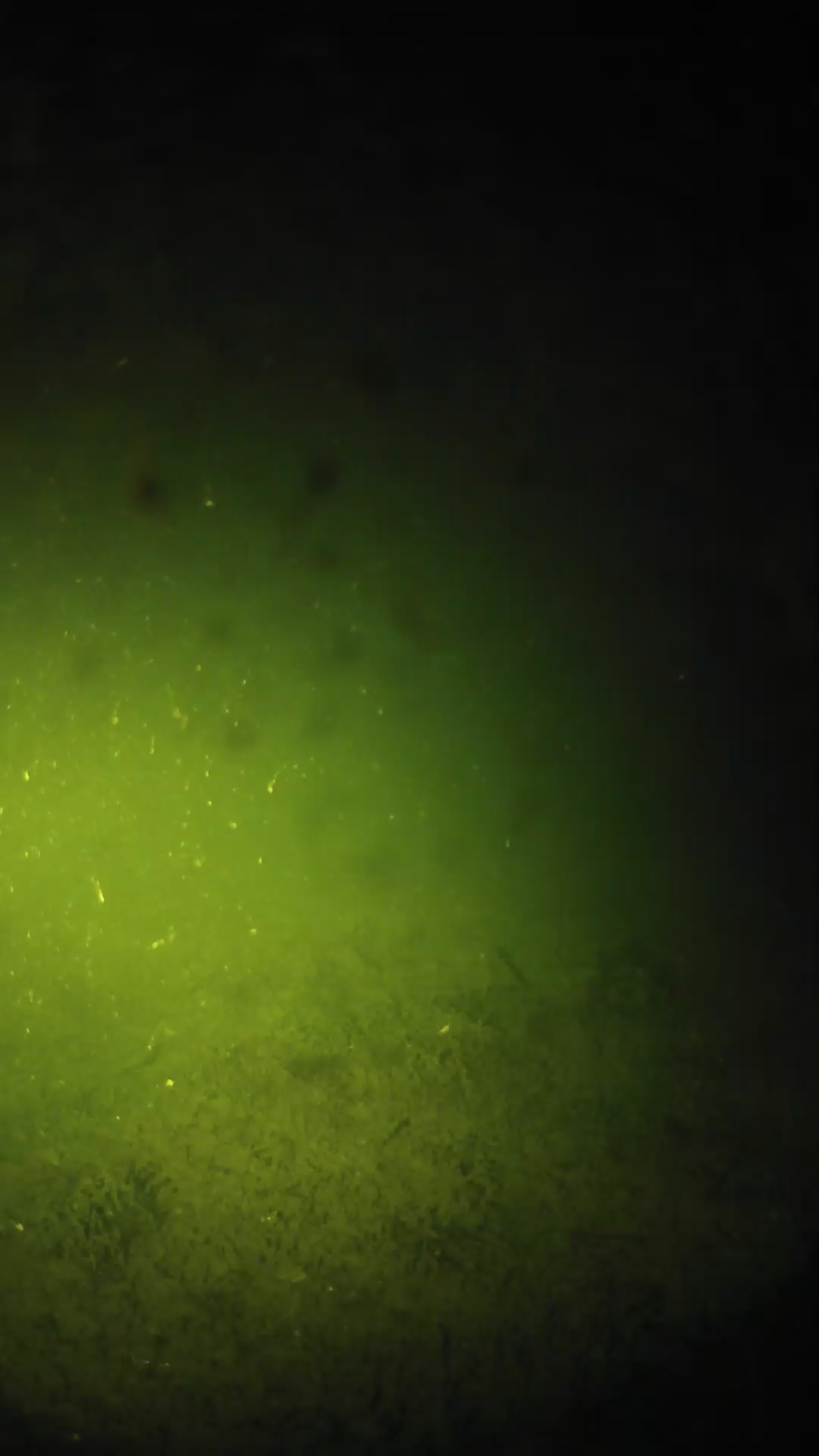 lander_ipcam_20240626040549.png