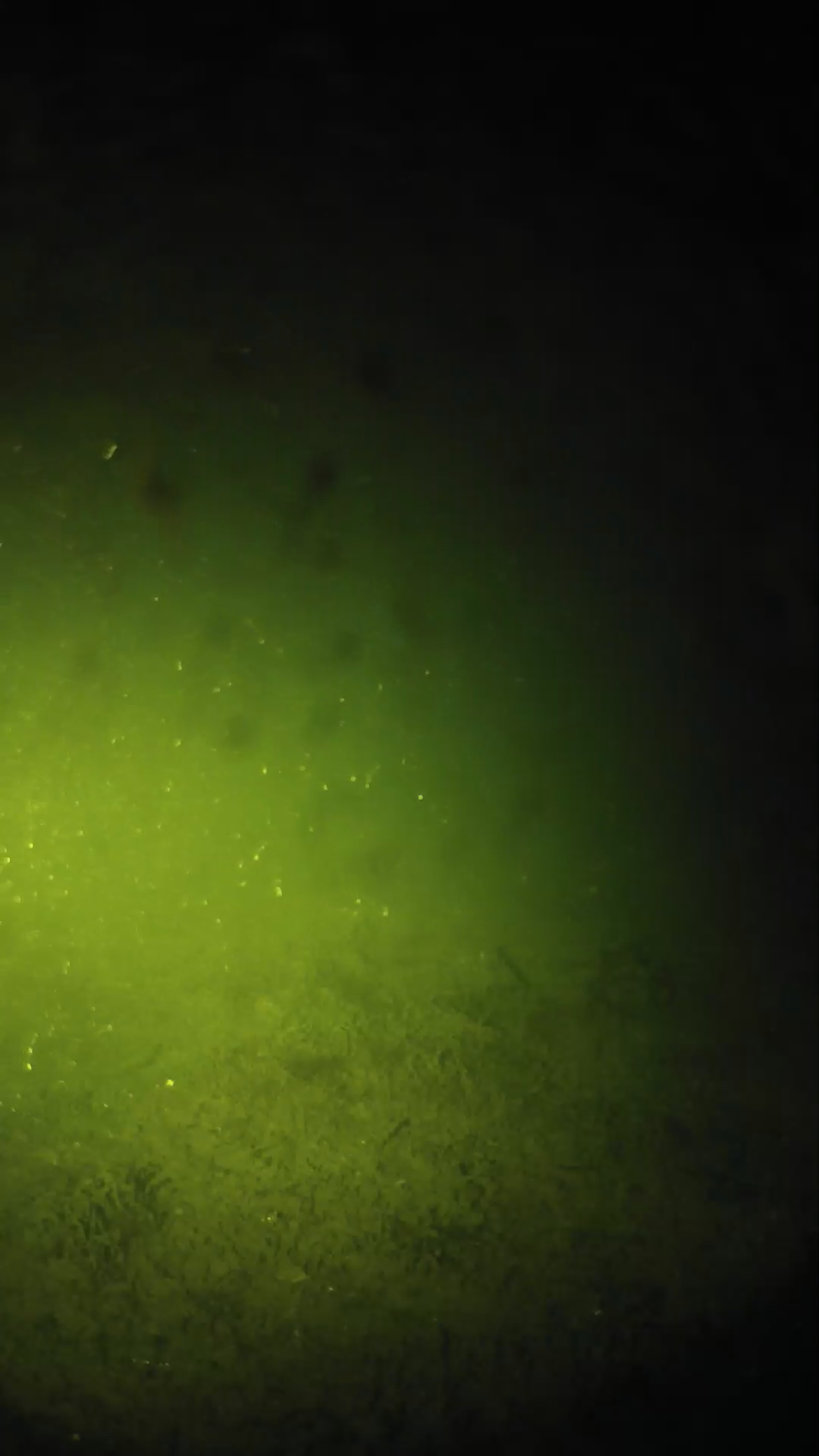 lander_ipcam_20240626040600.png