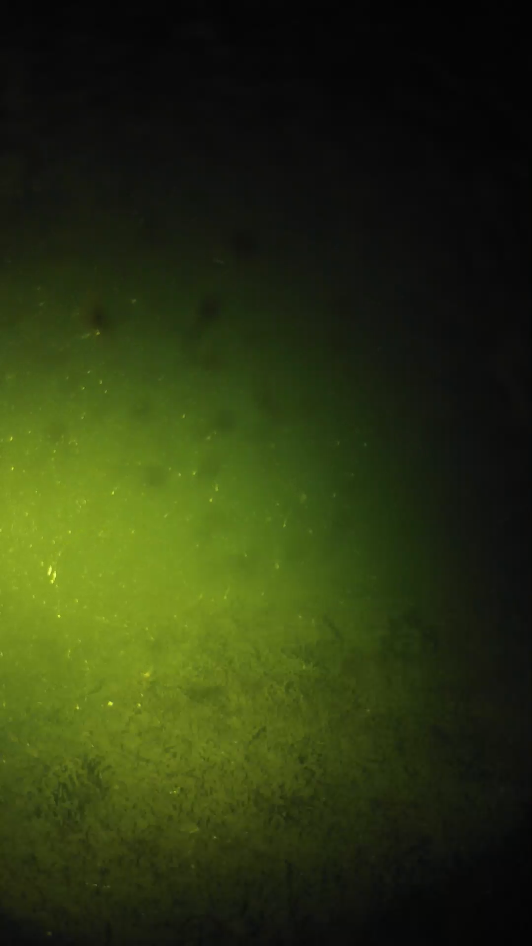 lander_ipcam_20240626040607.png