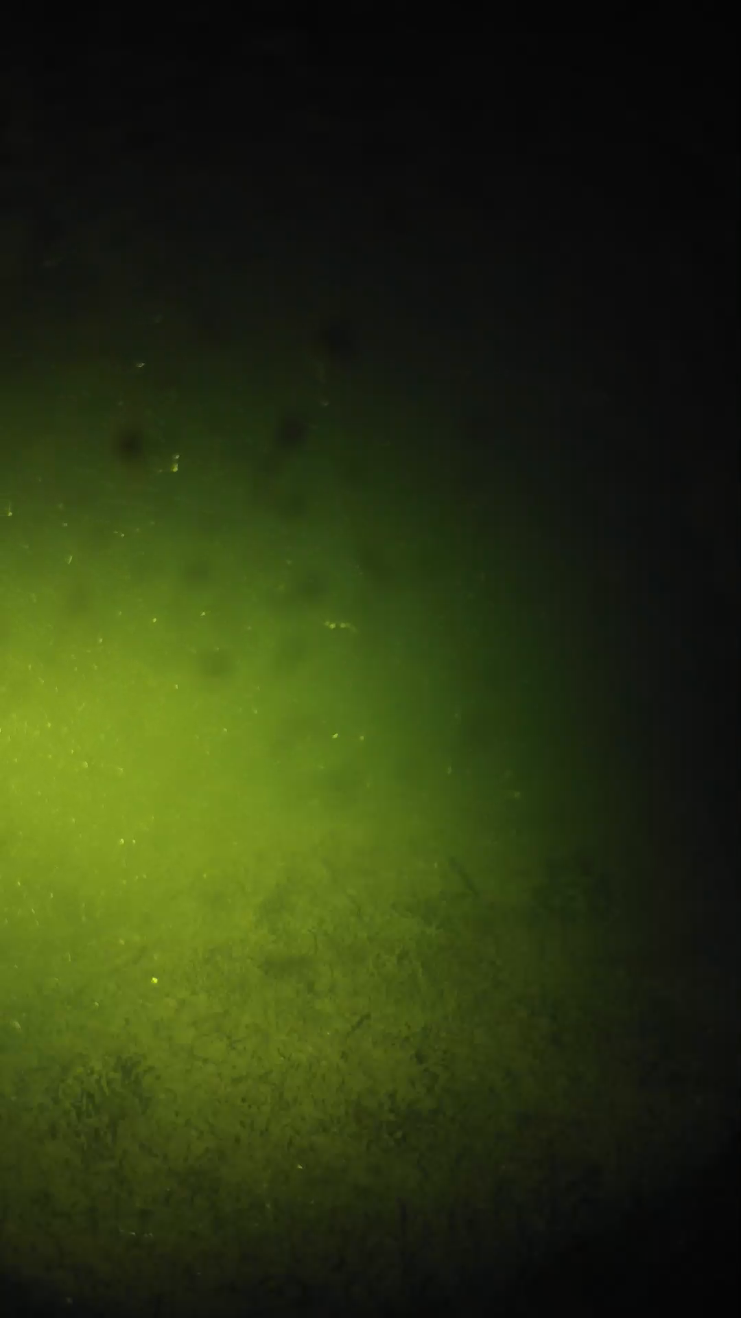 lander_ipcam_20240626043554.png