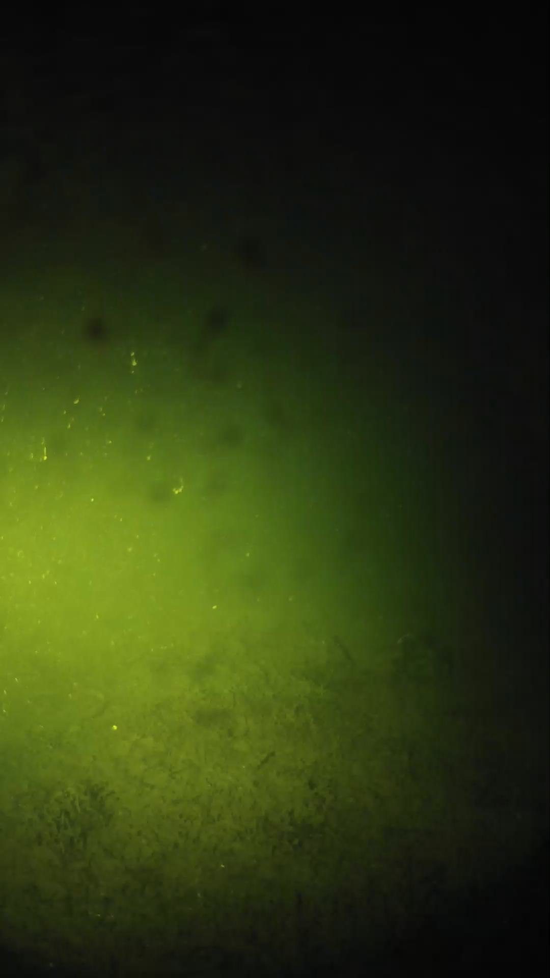 lander_ipcam_20240626043602.png