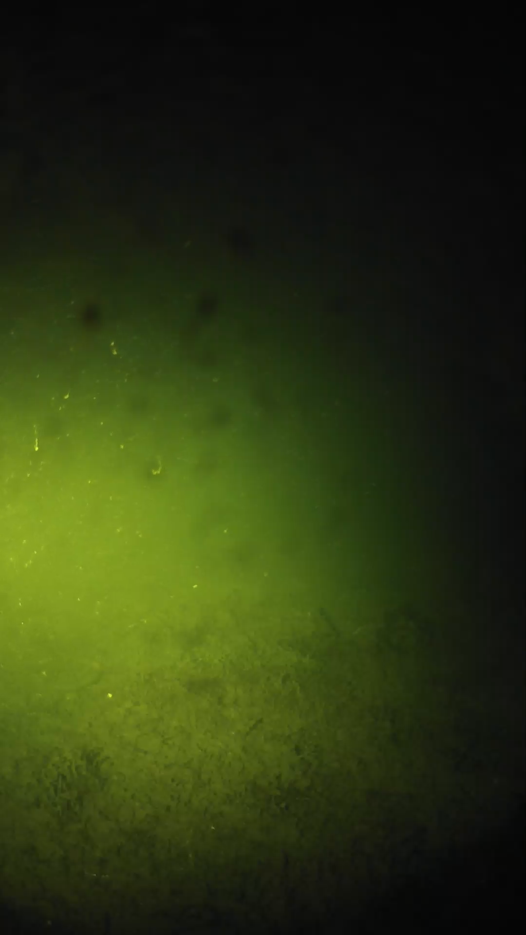 lander_ipcam_20240626043603.png