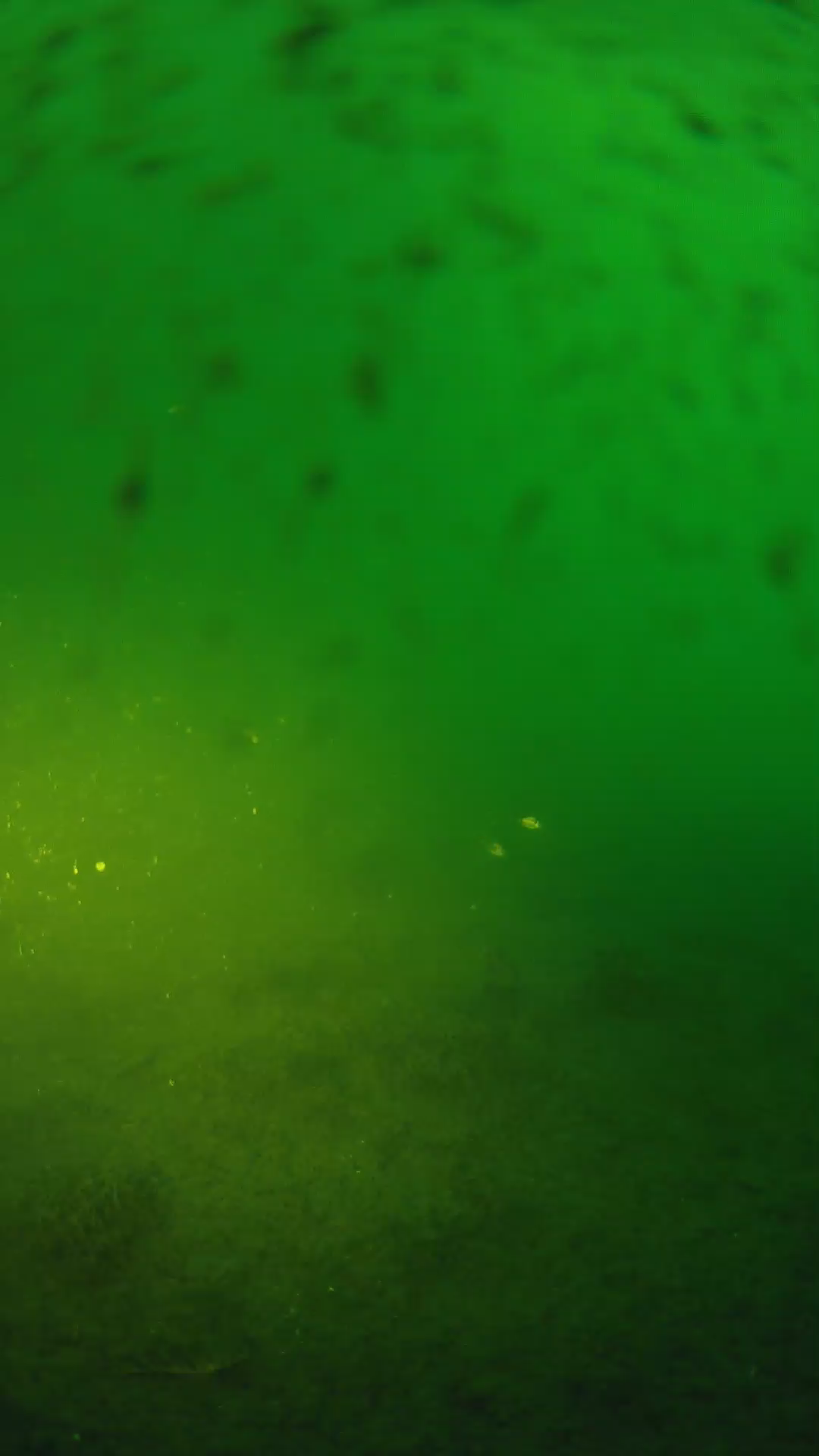 lander_ipcam_20240626053544.png