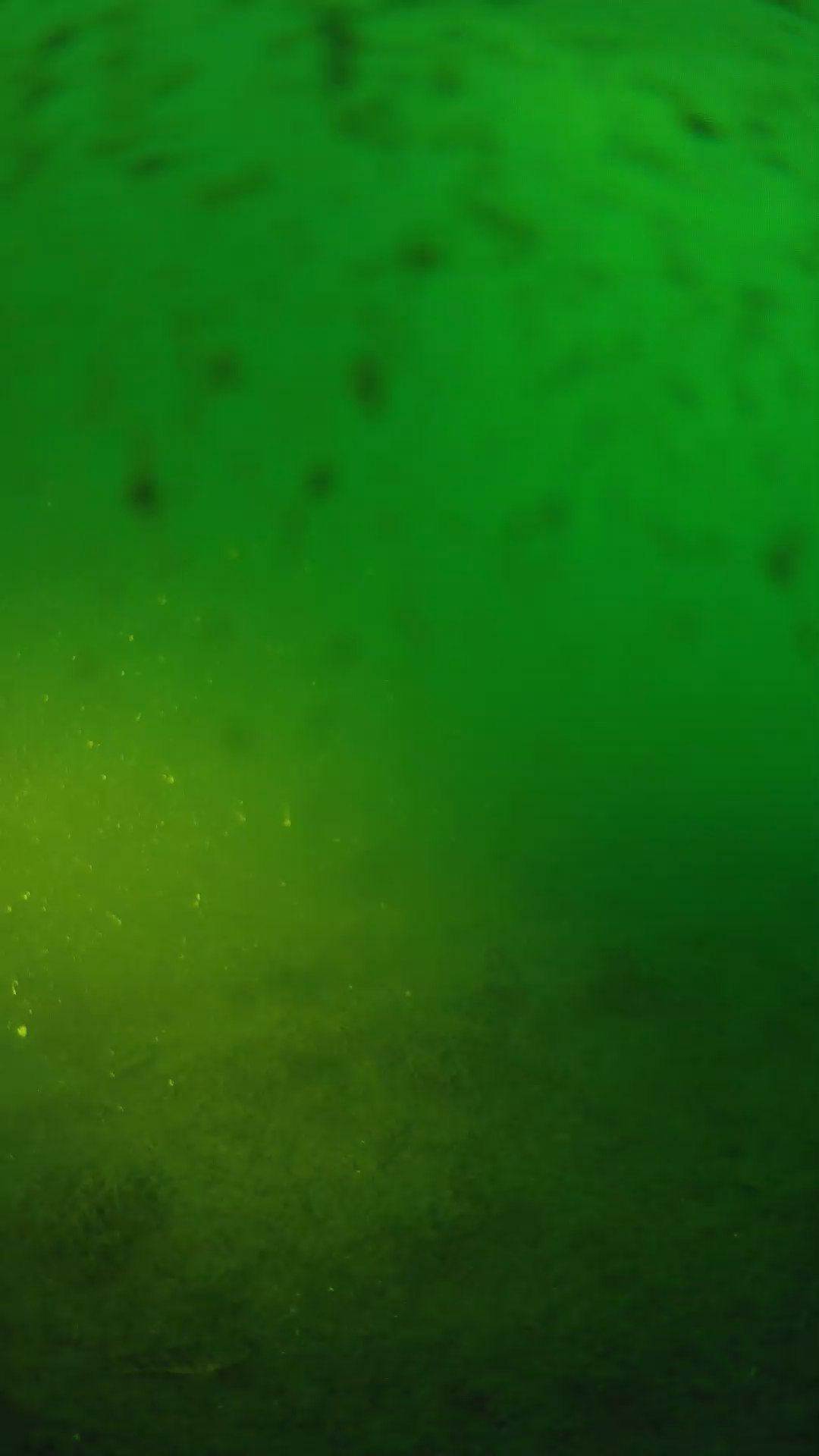 lander_ipcam_20240626053552.png