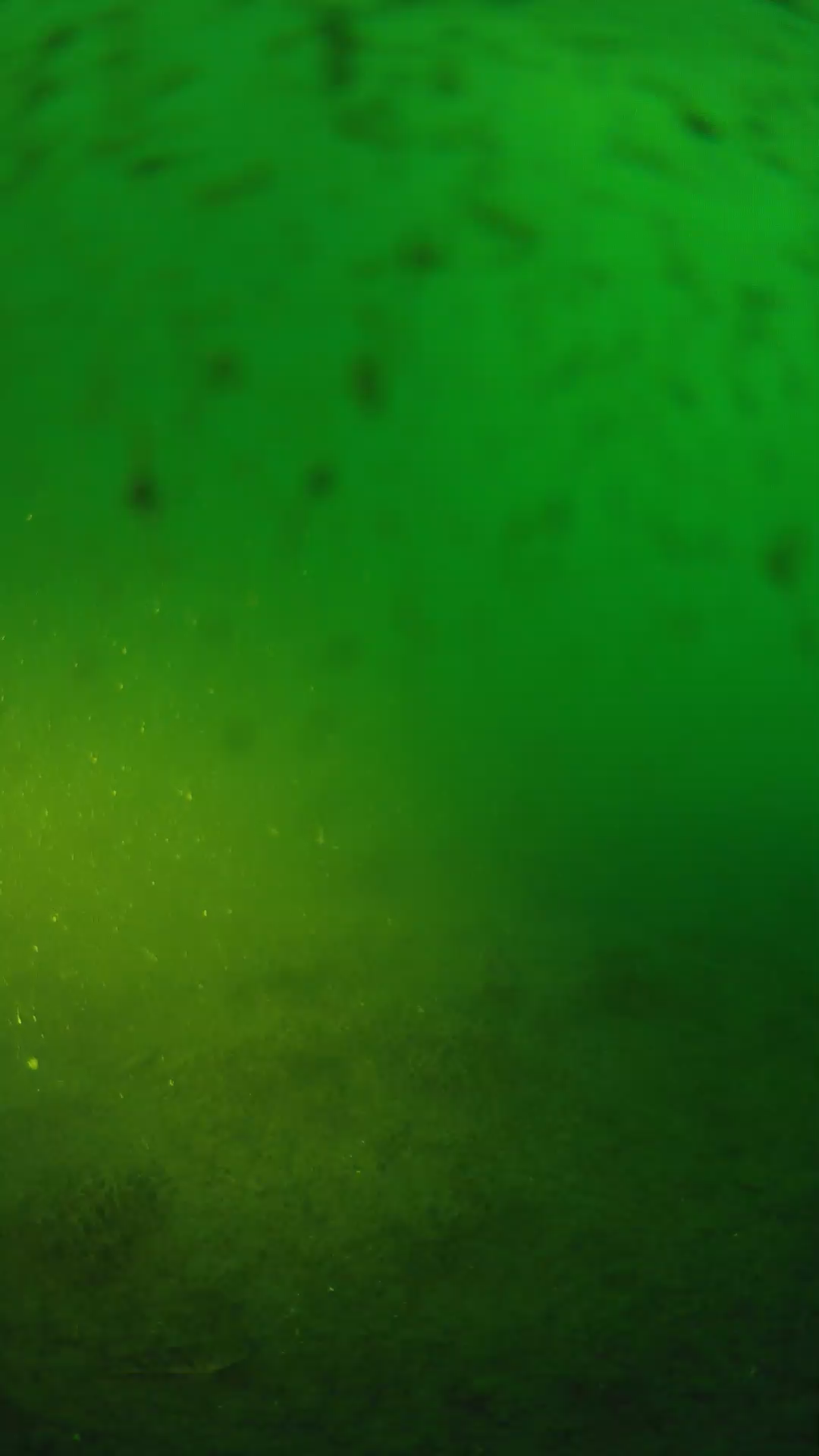 lander_ipcam_20240626053553.png