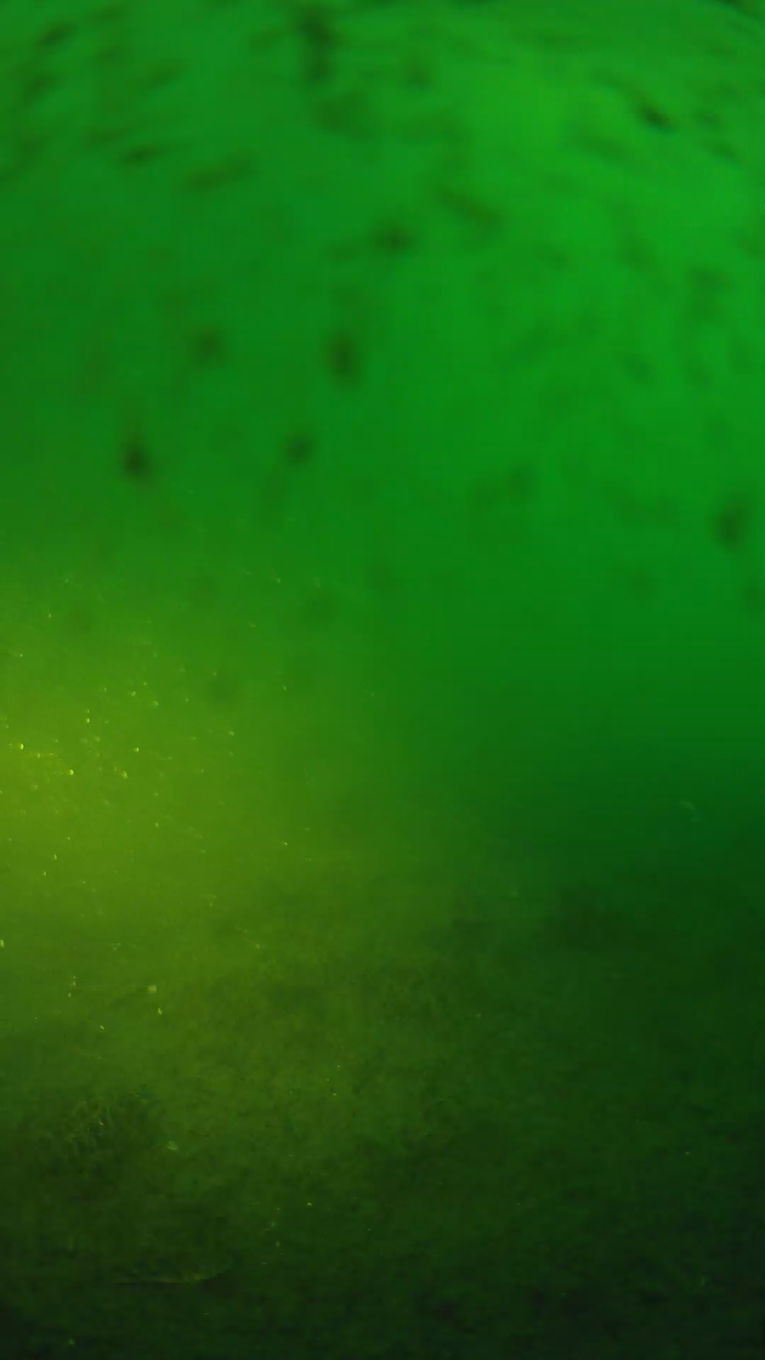 lander_ipcam_20240626053600.png