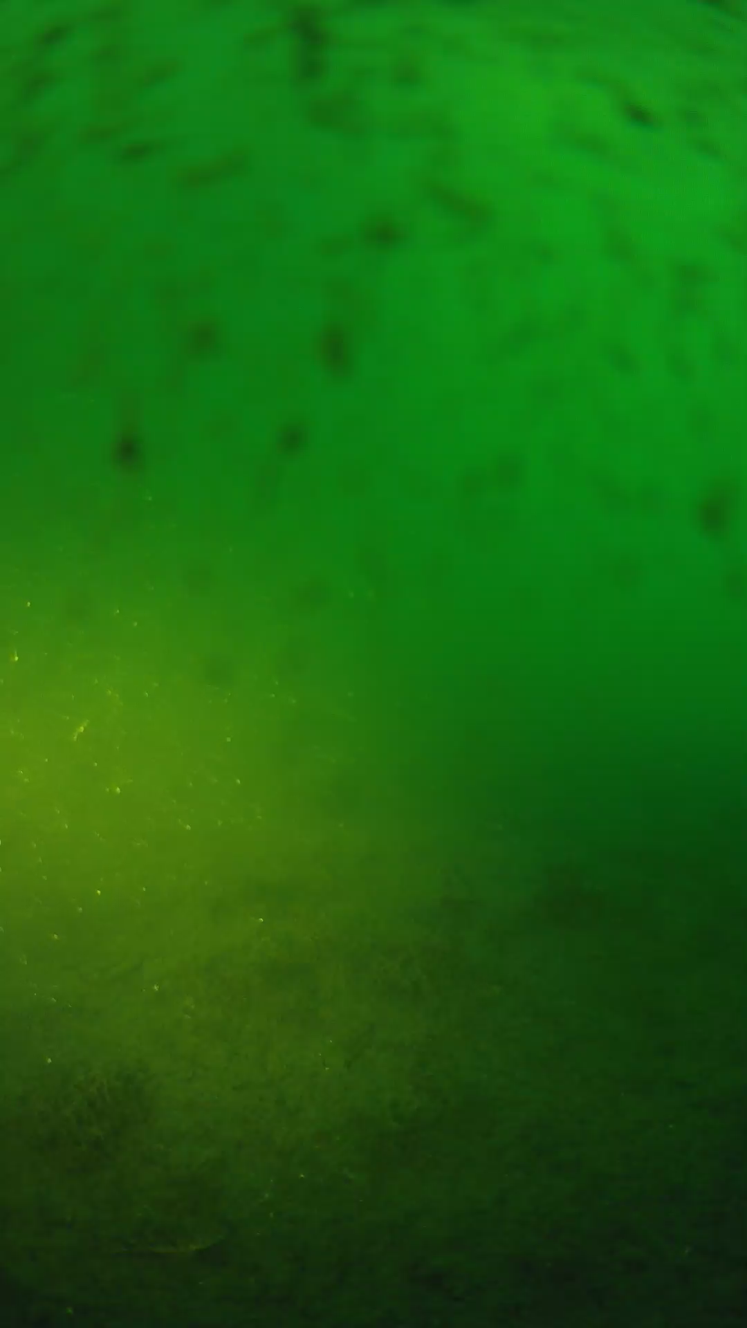 lander_ipcam_20240626053604.png