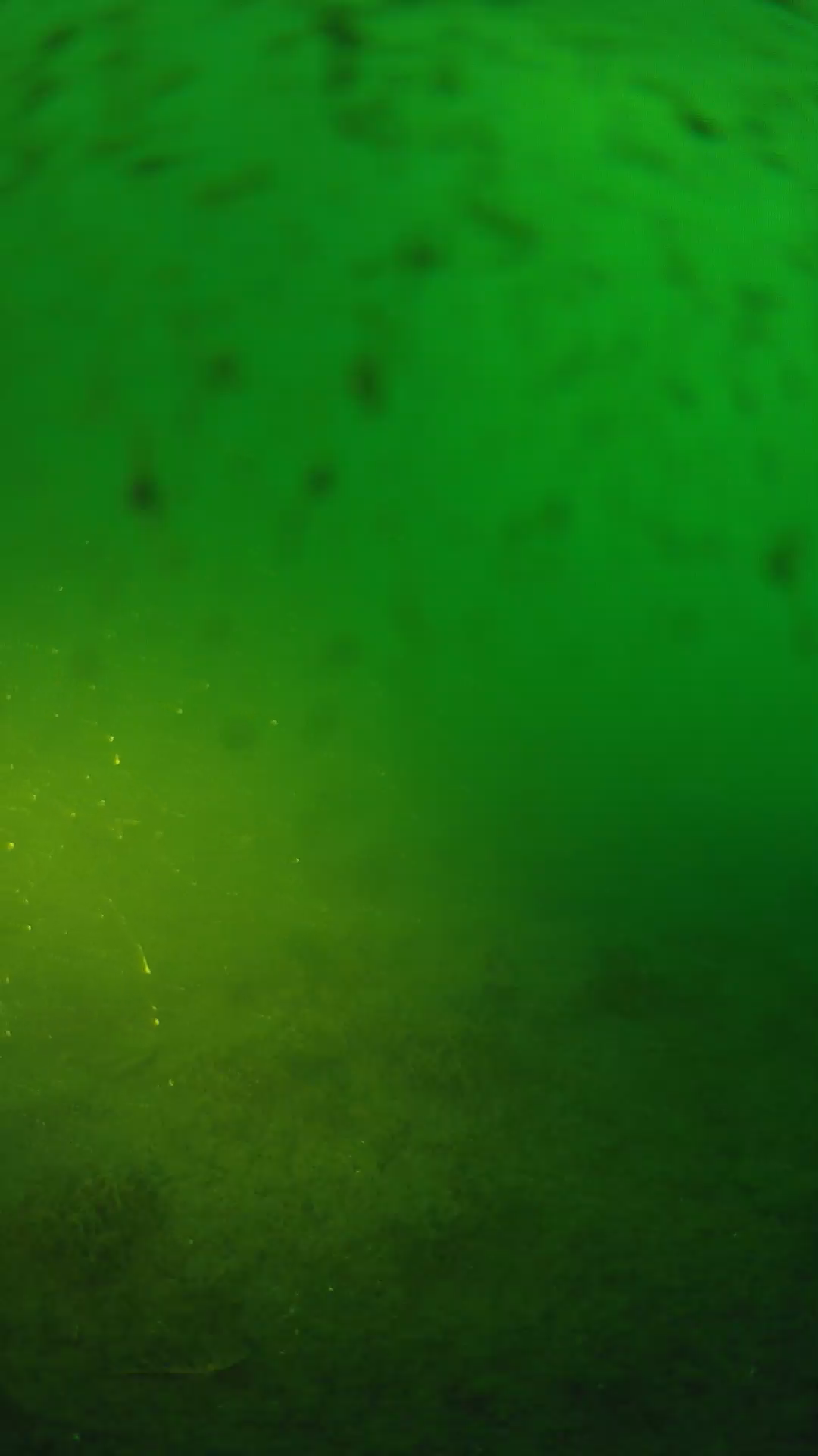 lander_ipcam_20240626053607.png